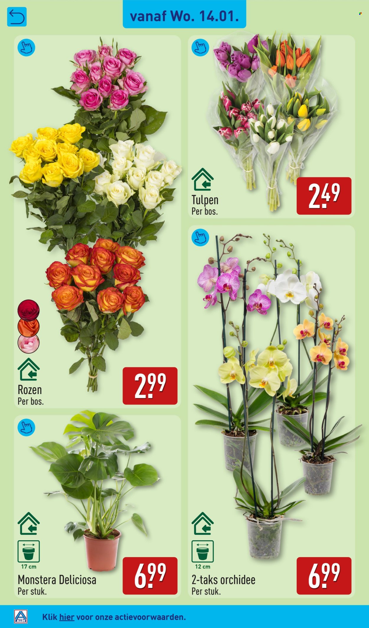 Aldi-aanbieding - 12-1-2026 - 18-1-2026. Pagina 30