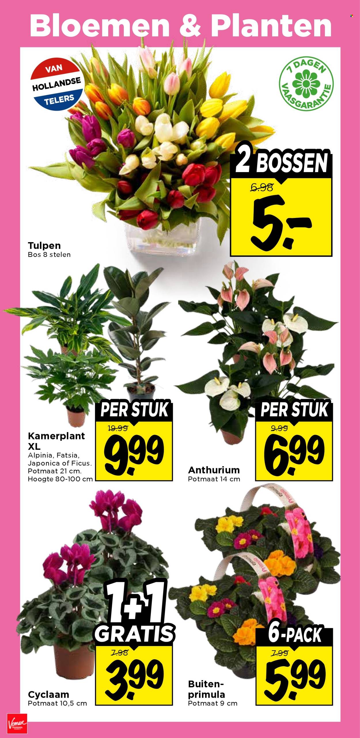 Vomar-aanbieding - 11-1-2026 - 17-1-2026. Pagina 32
