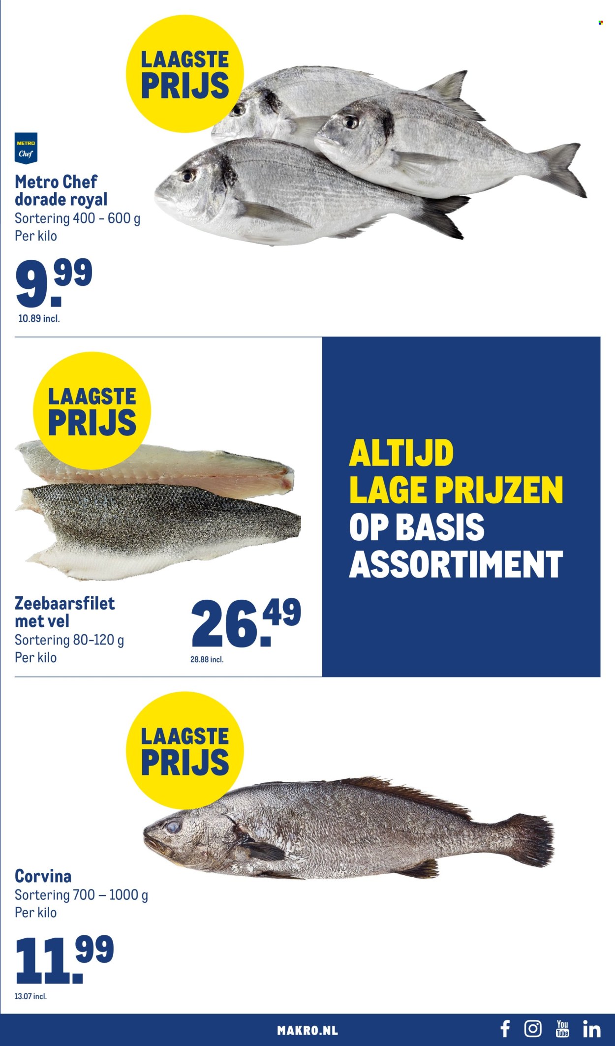 Makro-aanbieding. Pagina 13