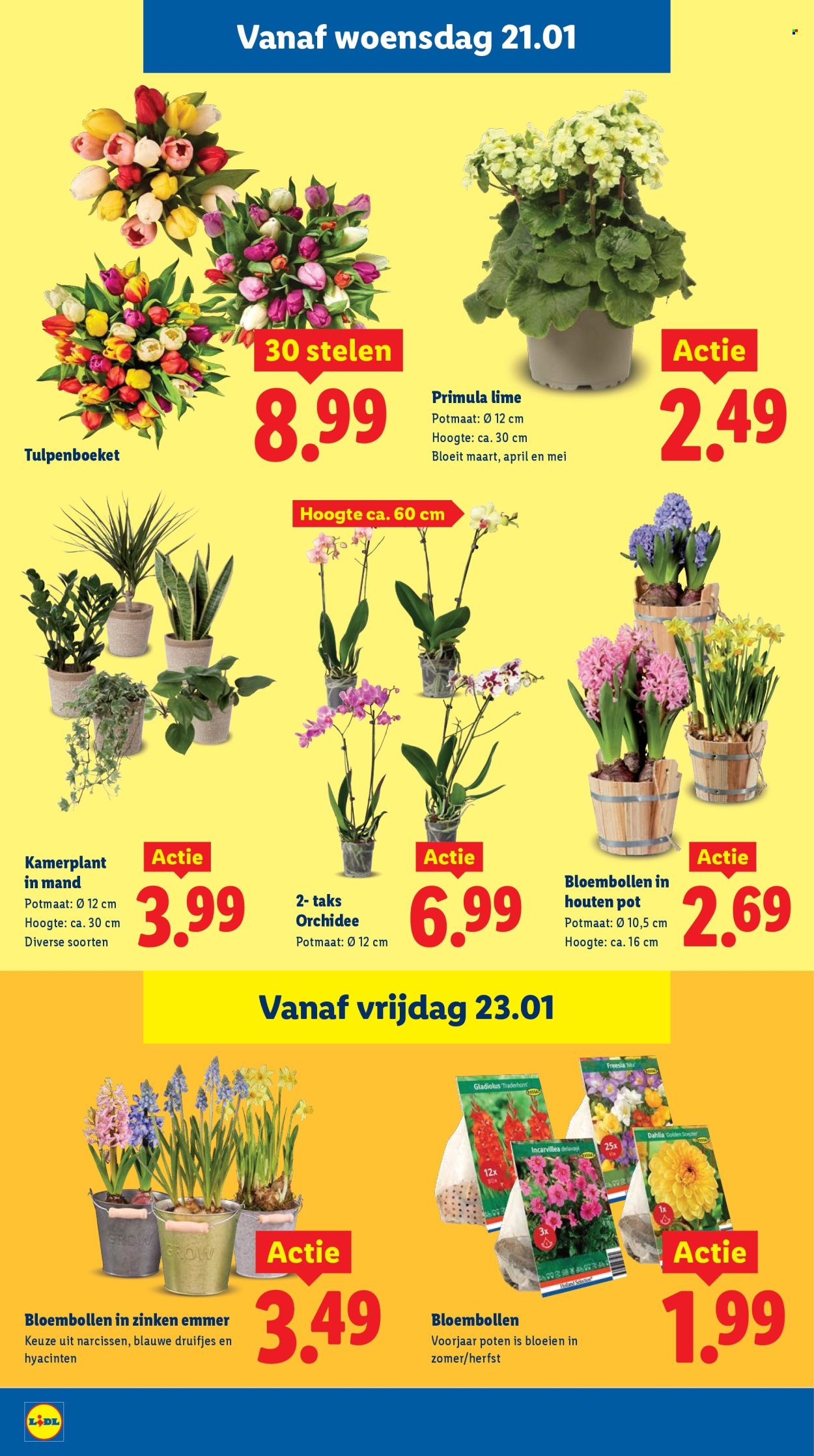 Lidl-aanbieding - 19-1-2026 - 25-1-2026. Pagina 22