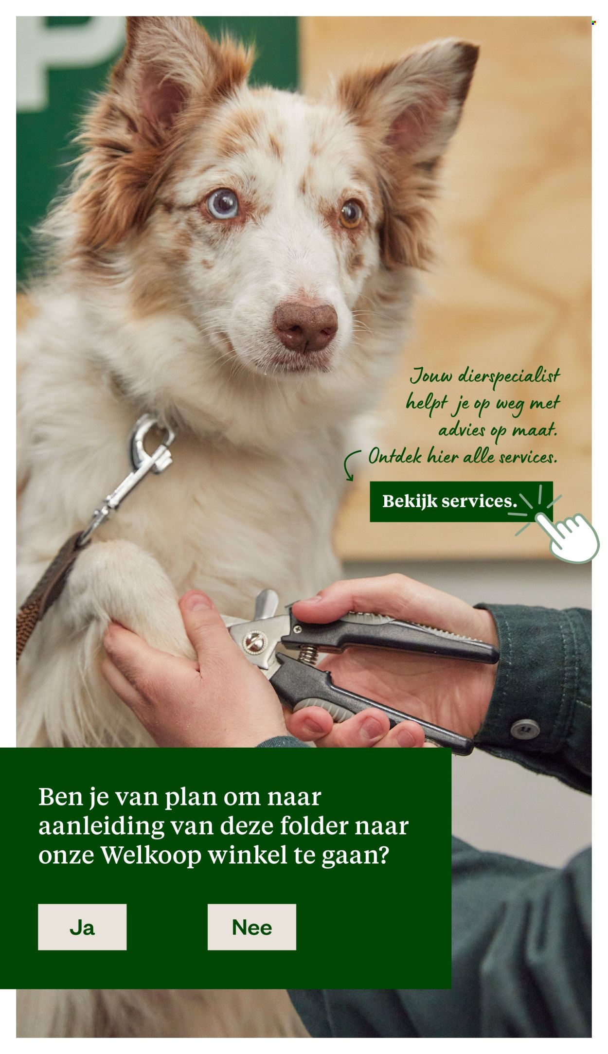 Welkoop-aanbieding - 19-1-2026 - 1-2-2026. Pagina 24