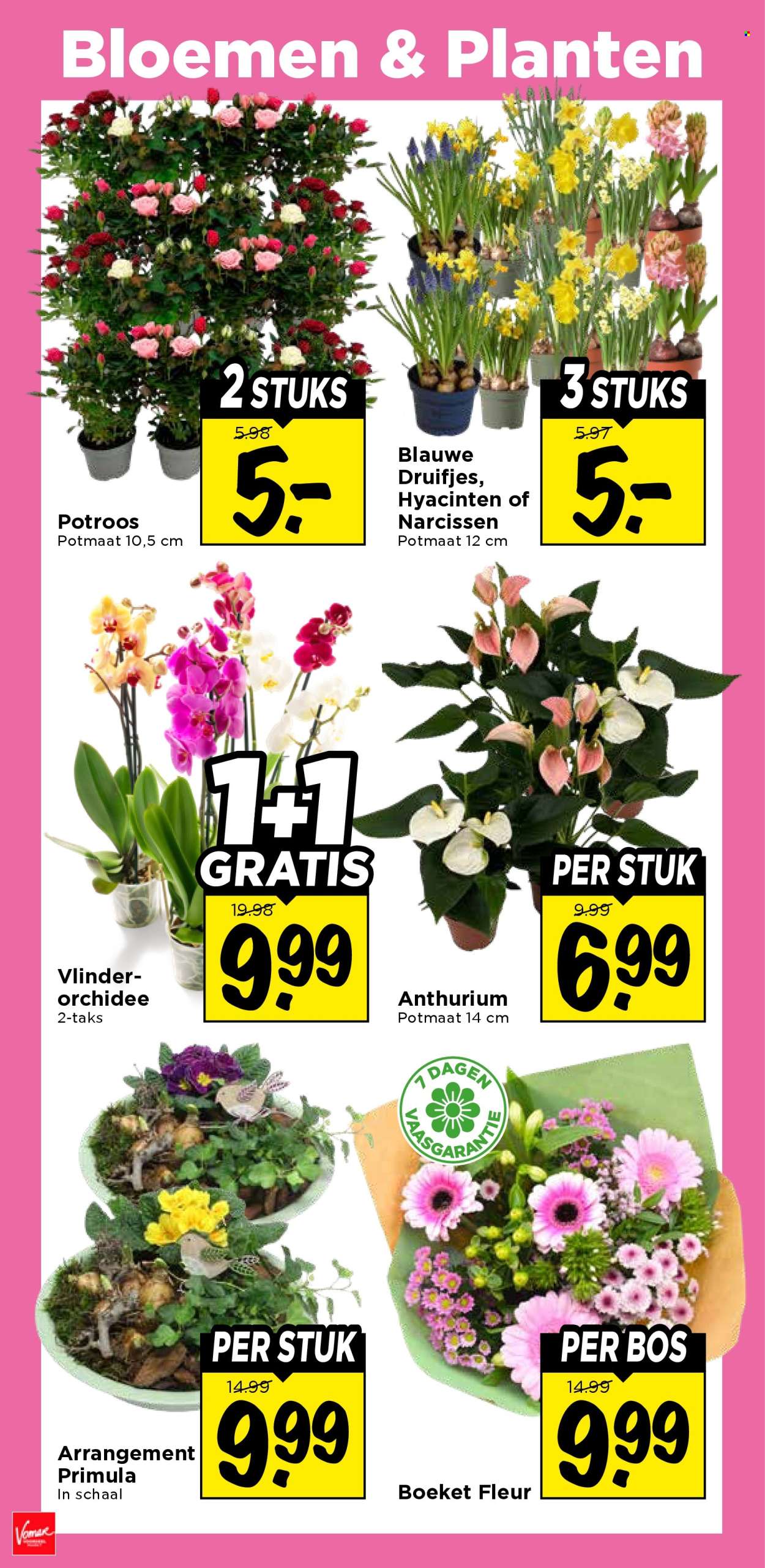Vomar-aanbieding - 22-1-2026 - 24-1-2026. Pagina 32