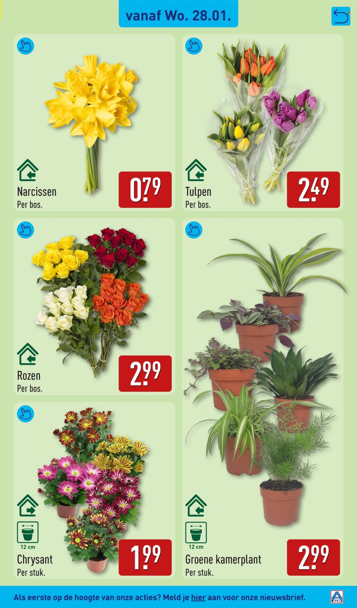 Aldi-aanbieding - 26-1-2026 - 1-2-2026. Pagina 31