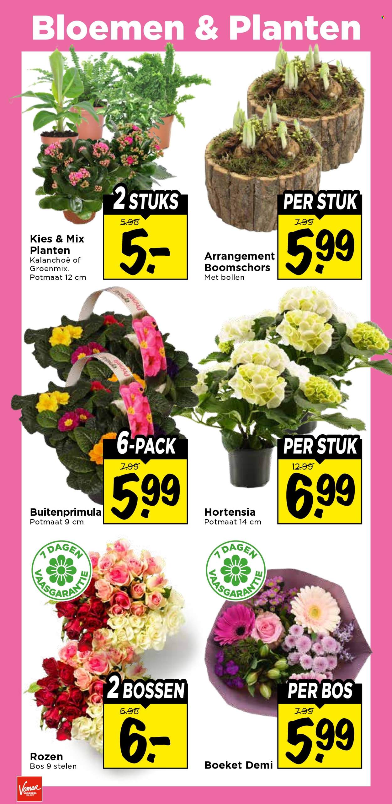 Vomar-aanbieding - 25-1-2026 - 31-1-2026. Pagina 30