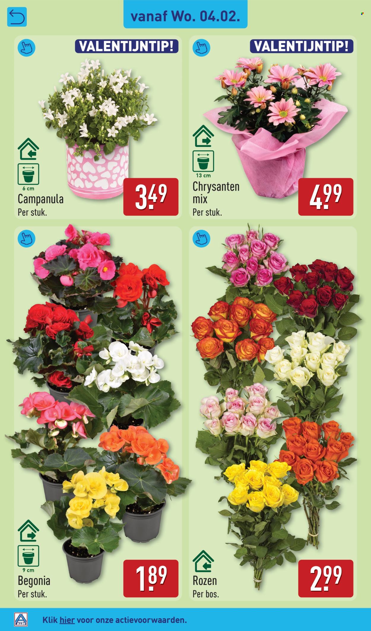 Aldi-aanbieding - 2-2-2026 - 8-2-2026. Pagina 30