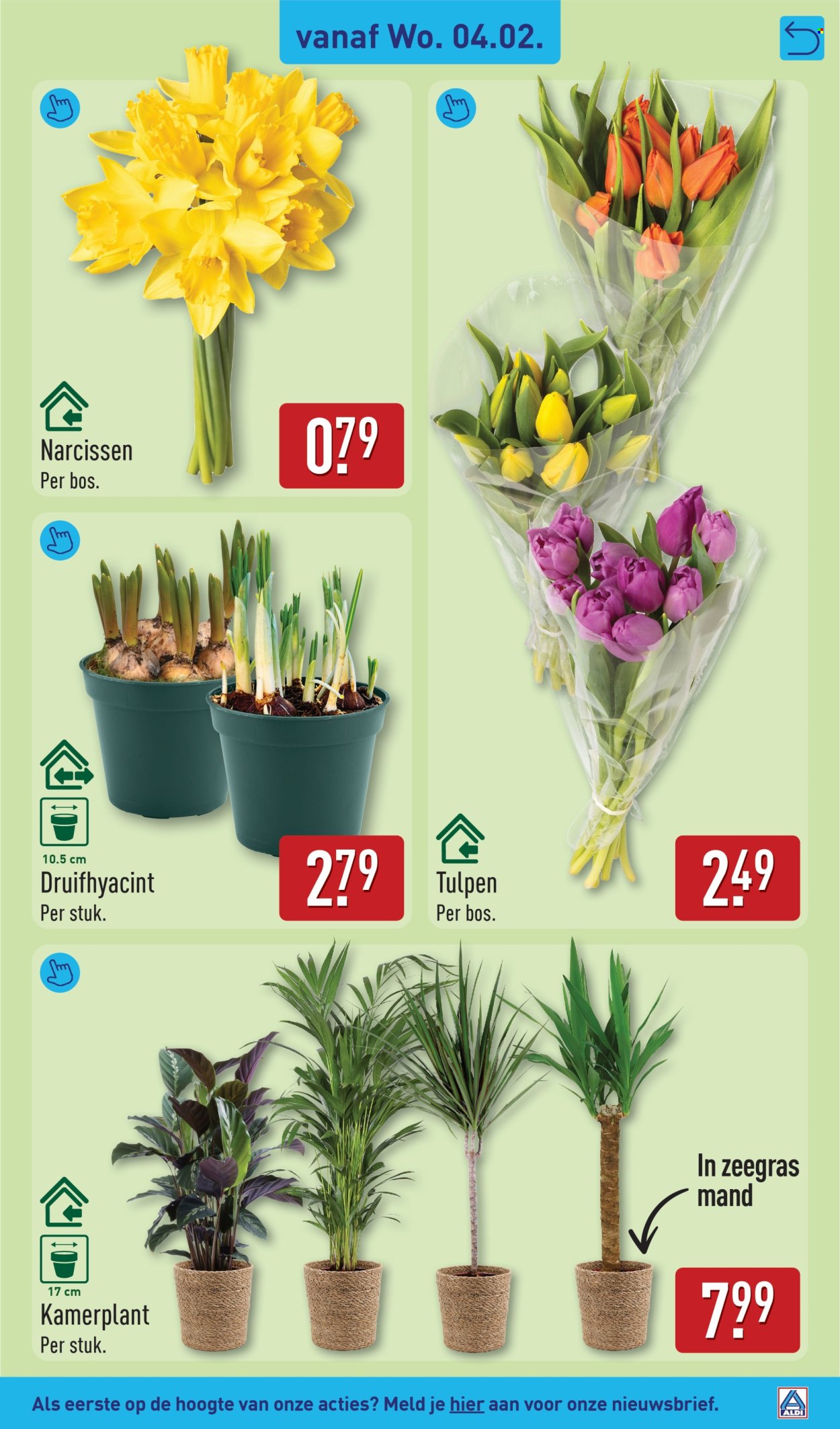 Aldi-aanbieding - 2-2-2026 - 8-2-2026. Pagina 31