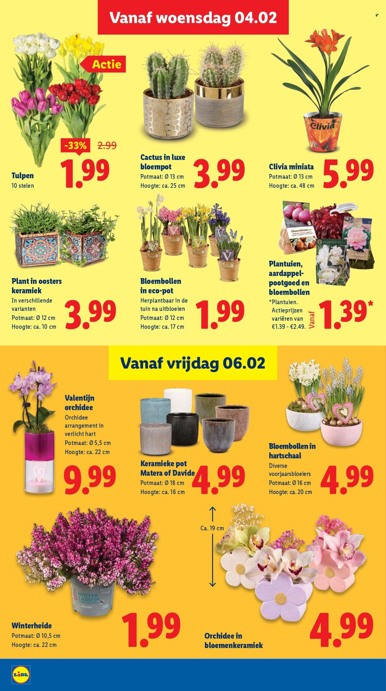 Lidl-aanbieding - 2-2-2026 - 8-2-2026. Pagina 17