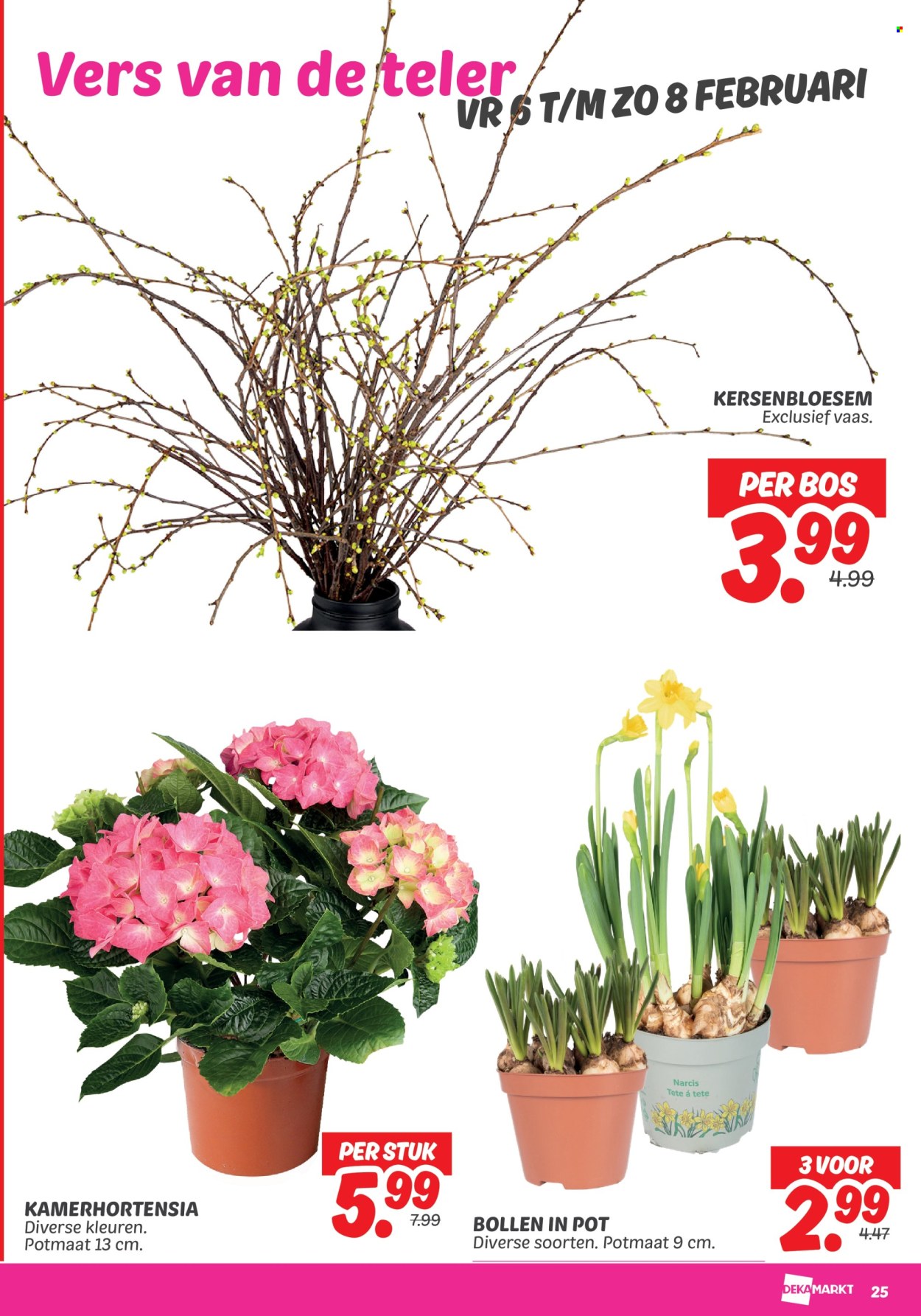 DekaMarkt-aanbieding - 3-2-2026 - 9-2-2026. Pagina 27