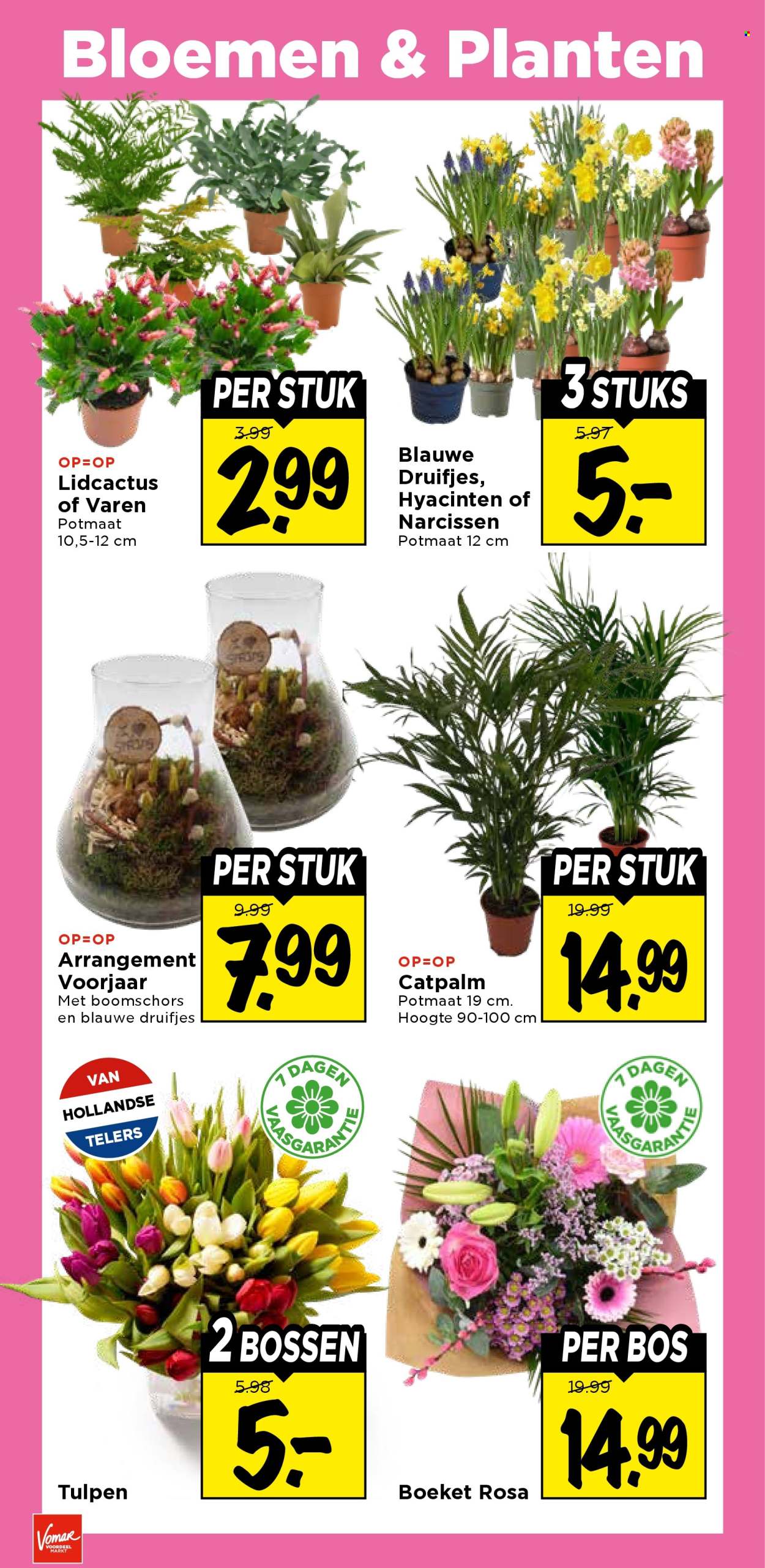 Vomar-aanbieding - 5-2-2026 - 7-2-2026. Pagina 31