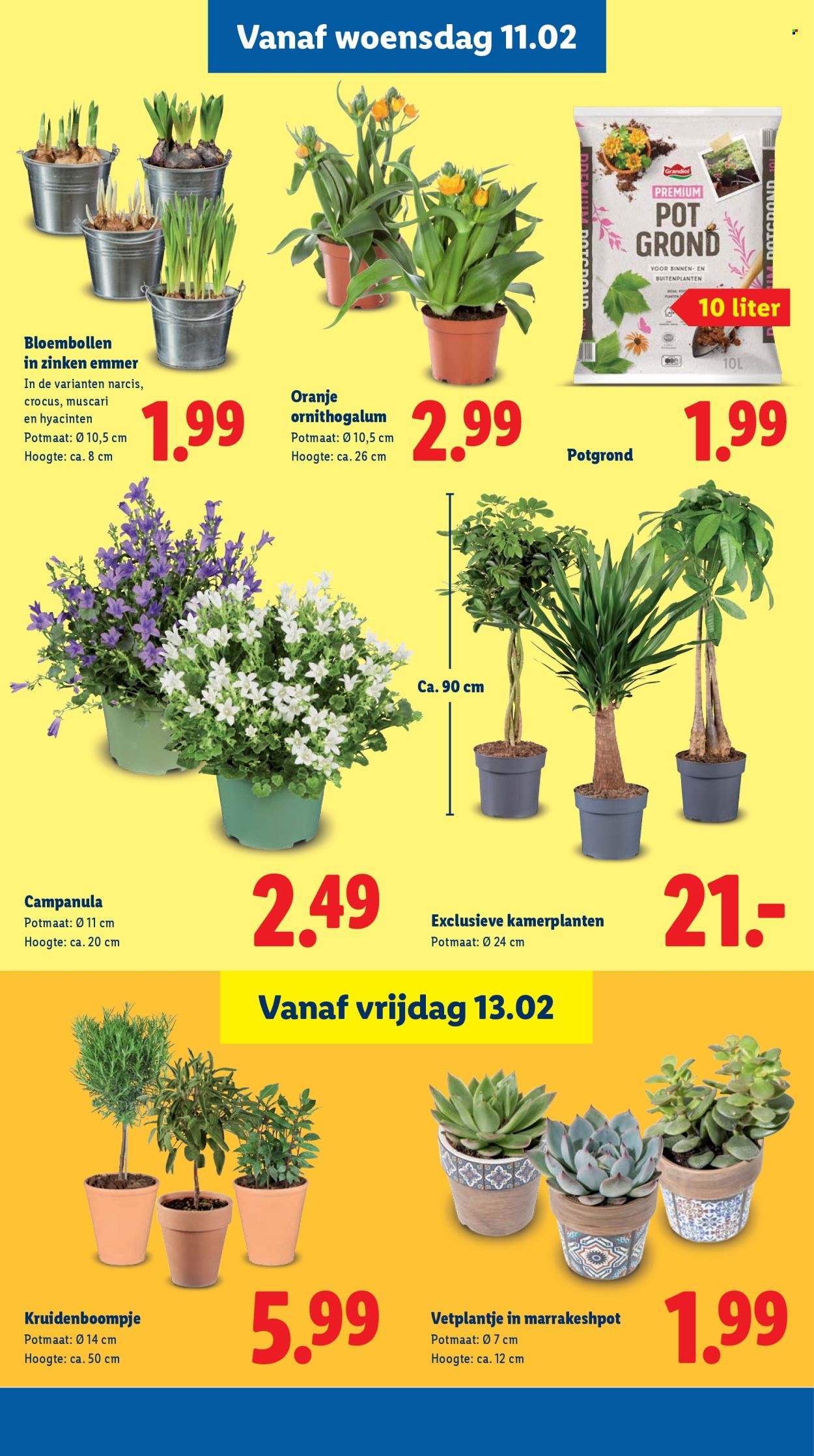 Lidl-aanbieding - 9-2-2026 - 15-2-2026. Pagina 15