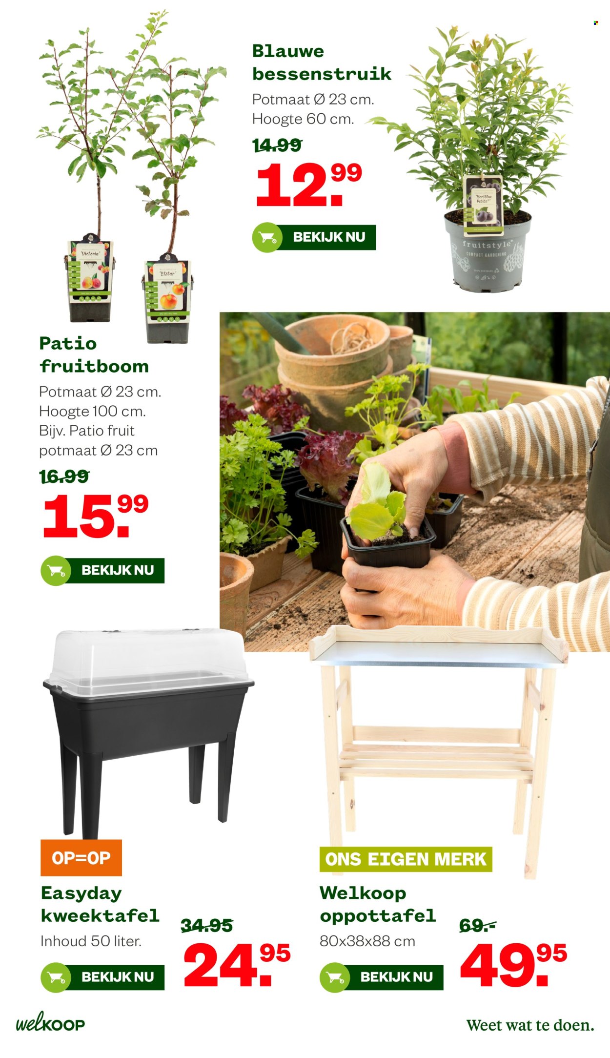 Welkoop-aanbieding - 2-2-2026 - 15-2-2026. Pagina 14