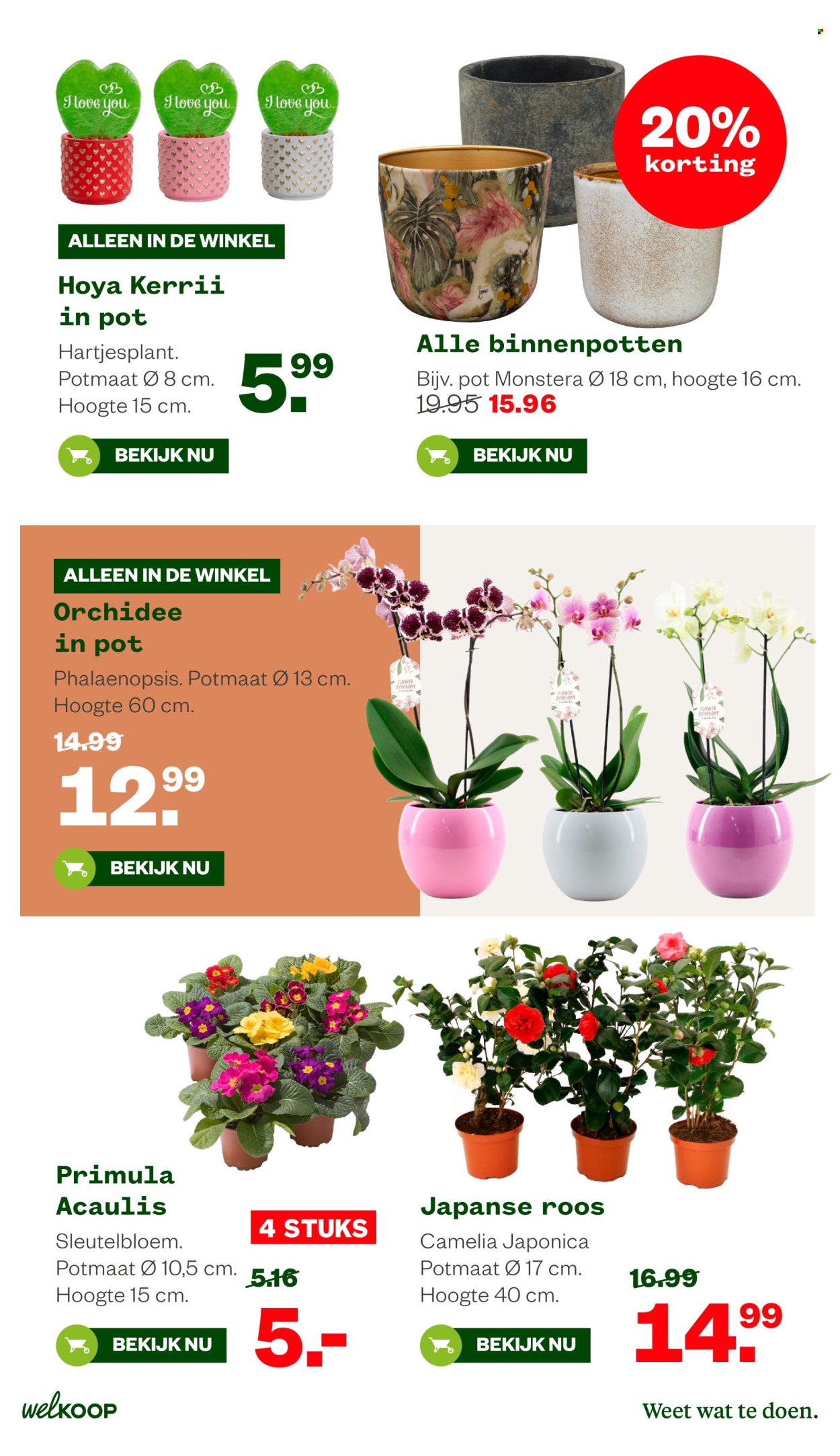 Welkoop-aanbieding - 2-2-2026 - 15-2-2026. Pagina 16
