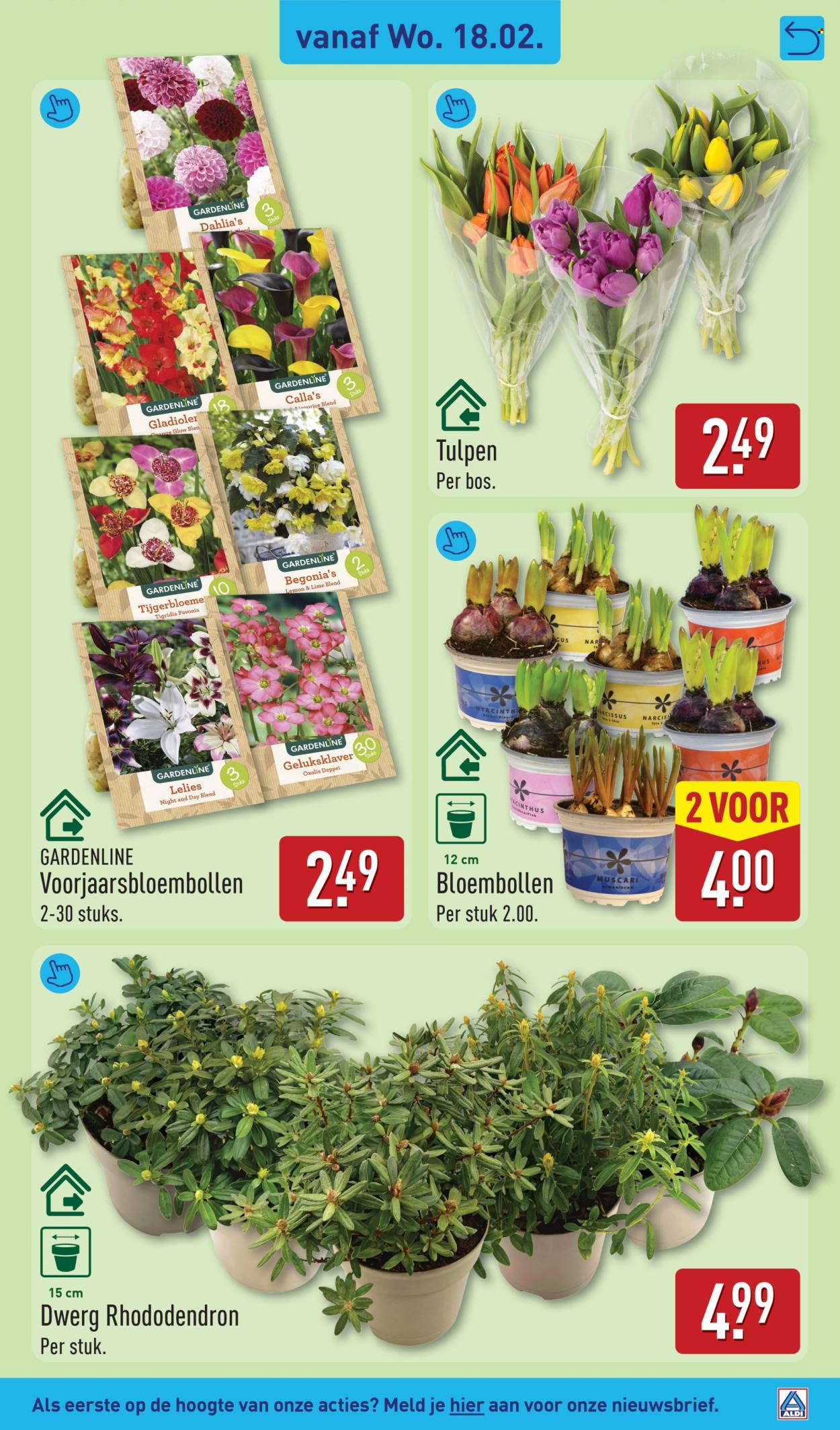 Aldi-aanbieding - 16-2-2026 - 22-2-2026. Pagina 35