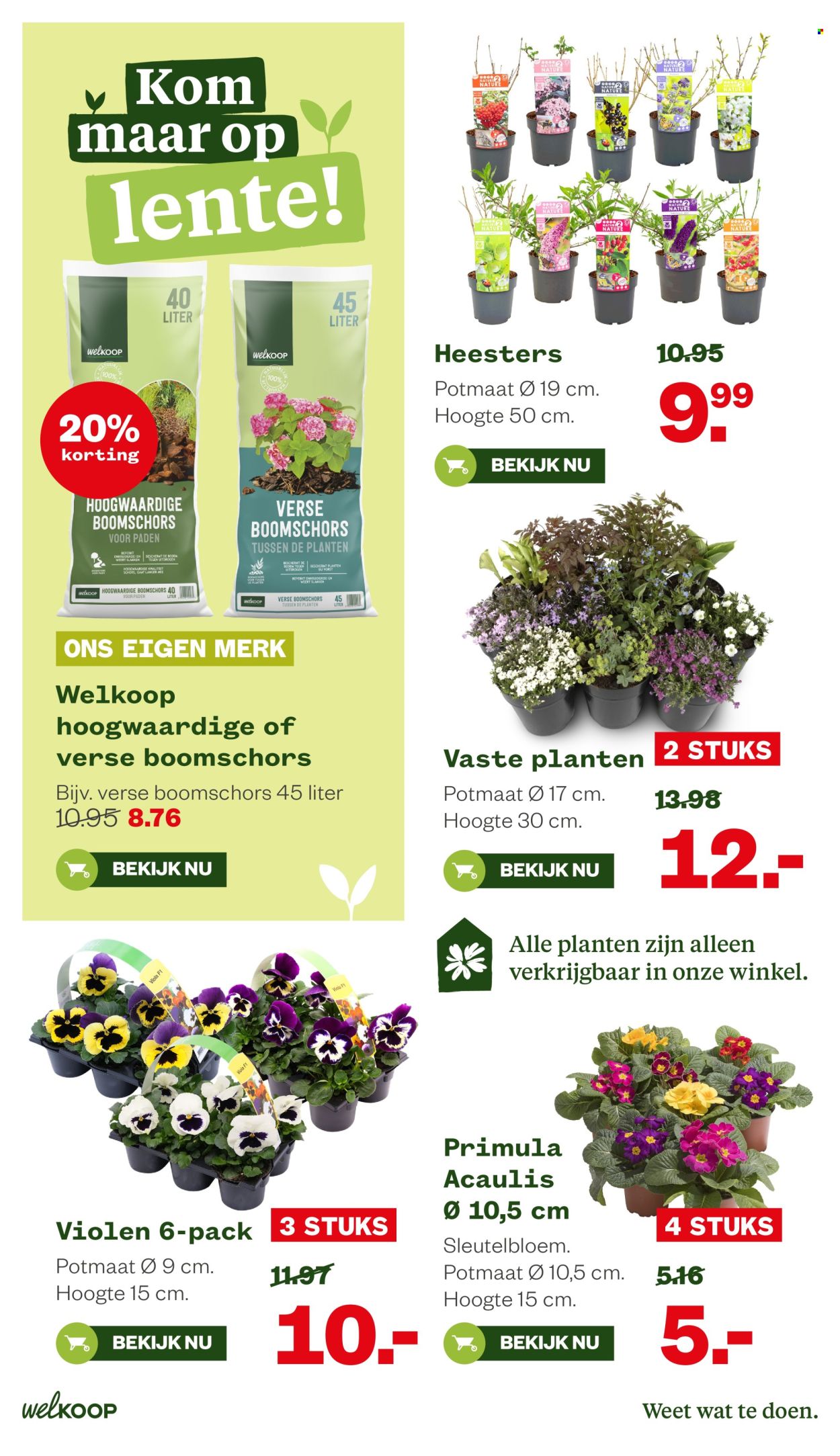 Welkoop-aanbieding - 16-2-2026 - 1-3-2026. Pagina 12