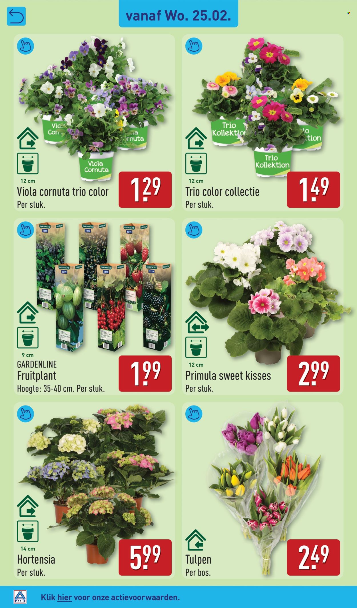 Aldi-aanbieding - 25-2-2026 - 28-2-2026. Pagina 4