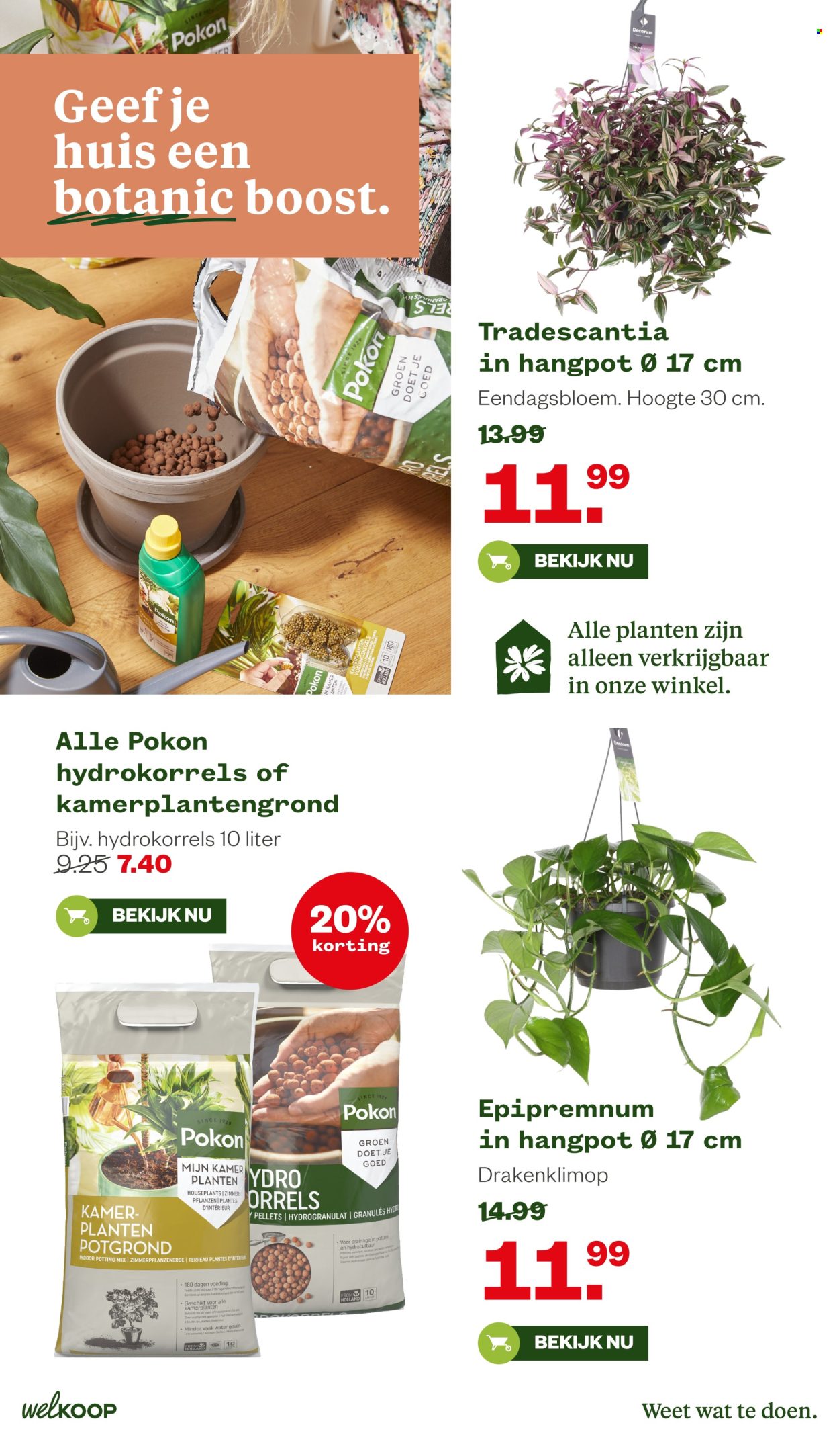 Welkoop-aanbieding - 16-2-2026 - 1-3-2026. Pagina 18