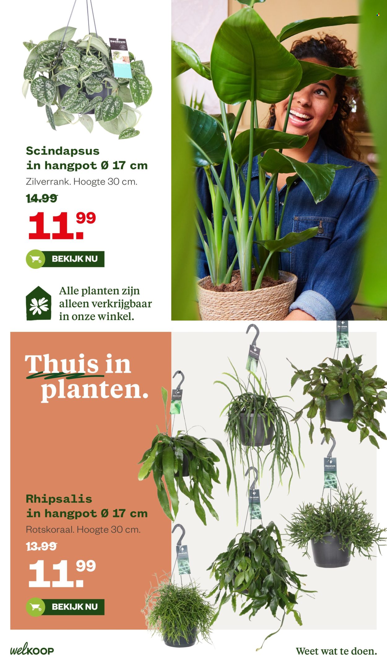 Welkoop-aanbieding - 16-2-2026 - 1-3-2026. Pagina 19