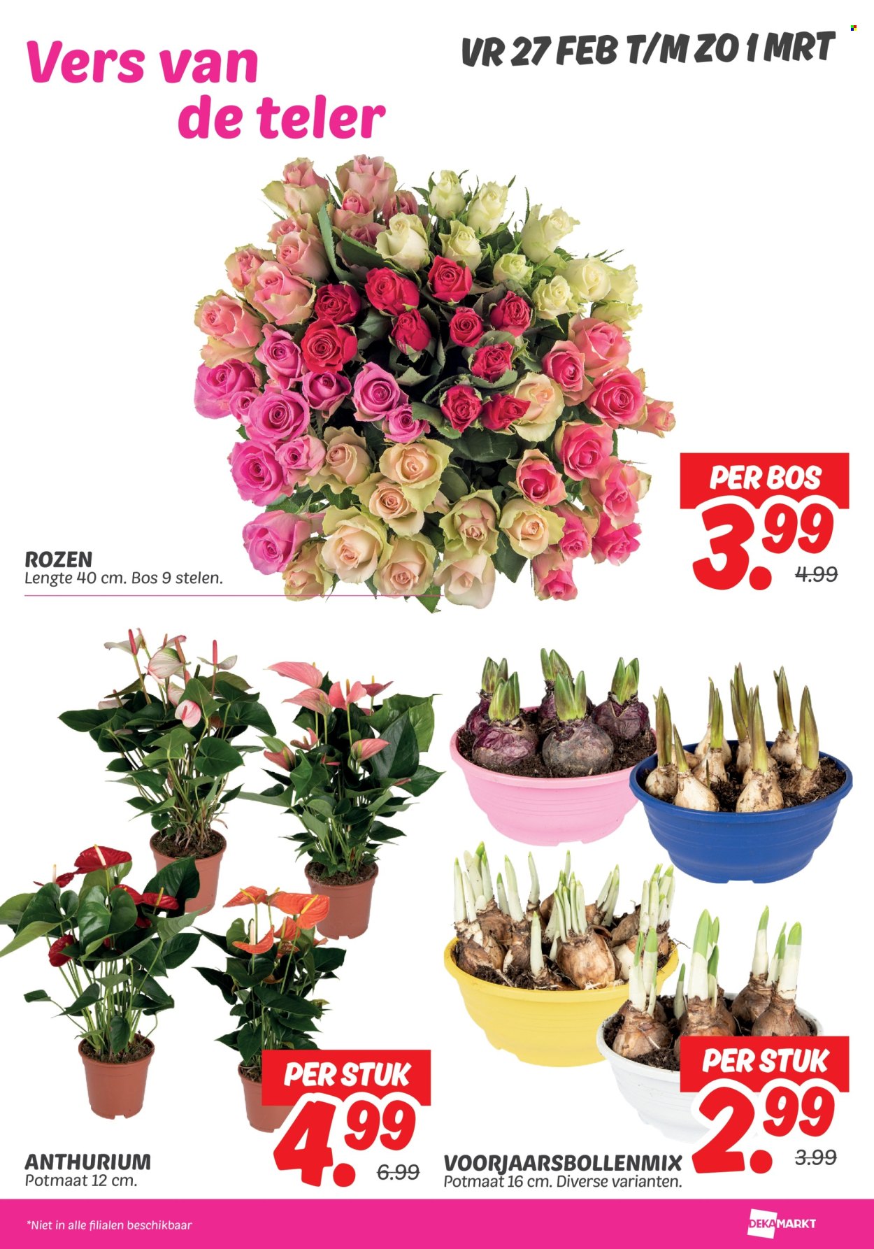 DekaMarkt-aanbieding - 24-2-2026 - 2-3-2026. Pagina 26