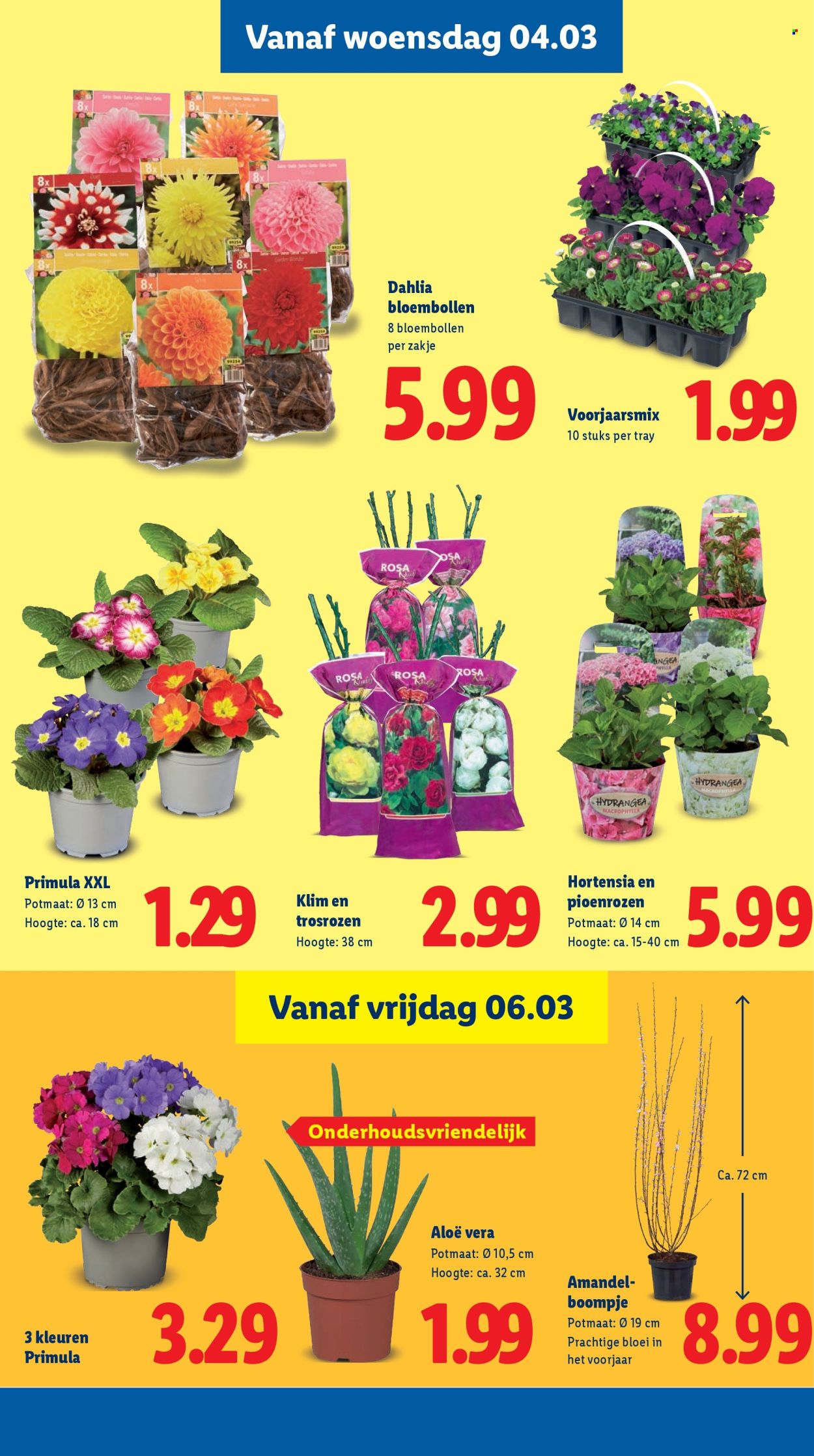 Lidl-aanbieding - 2-3-2026 - 8-3-2026. Pagina 24