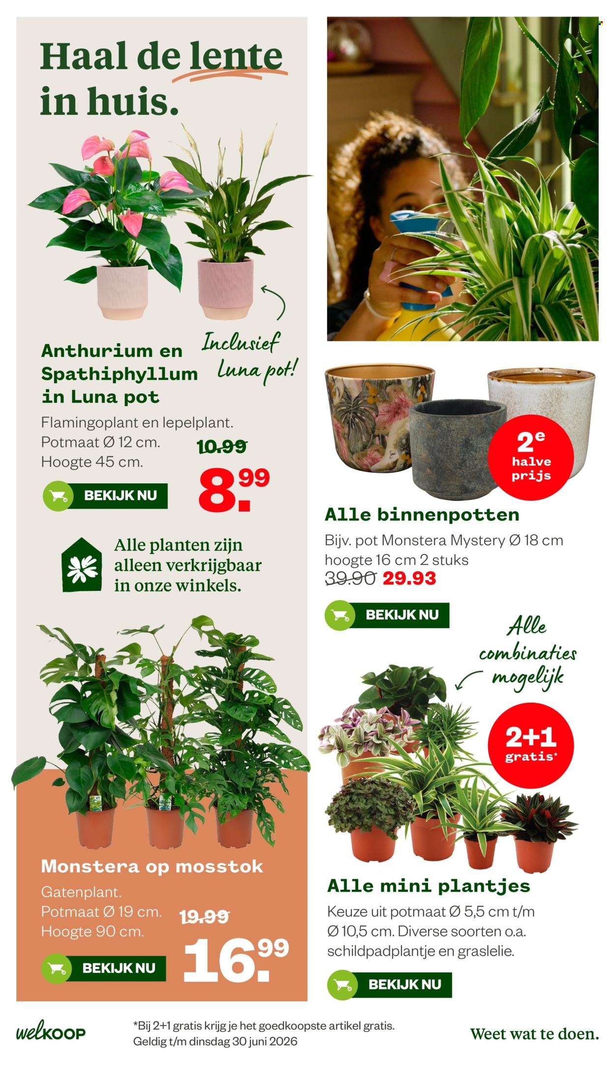 Welkoop-aanbieding - 2-3-2026 - 15-3-2026. Pagina 6