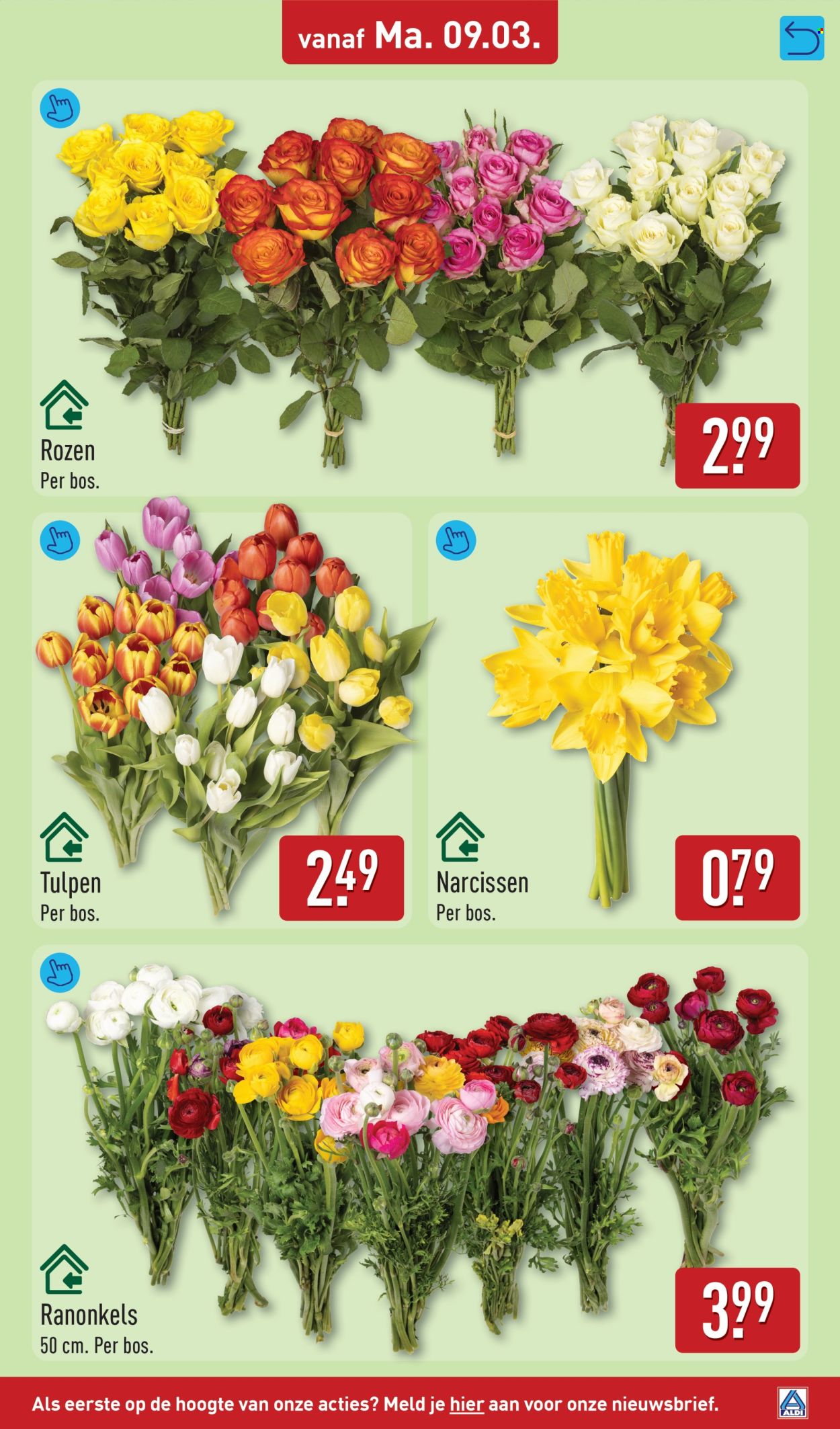 Aldi-aanbieding - 9-3-2026 - 15-3-2026. Pagina 37
