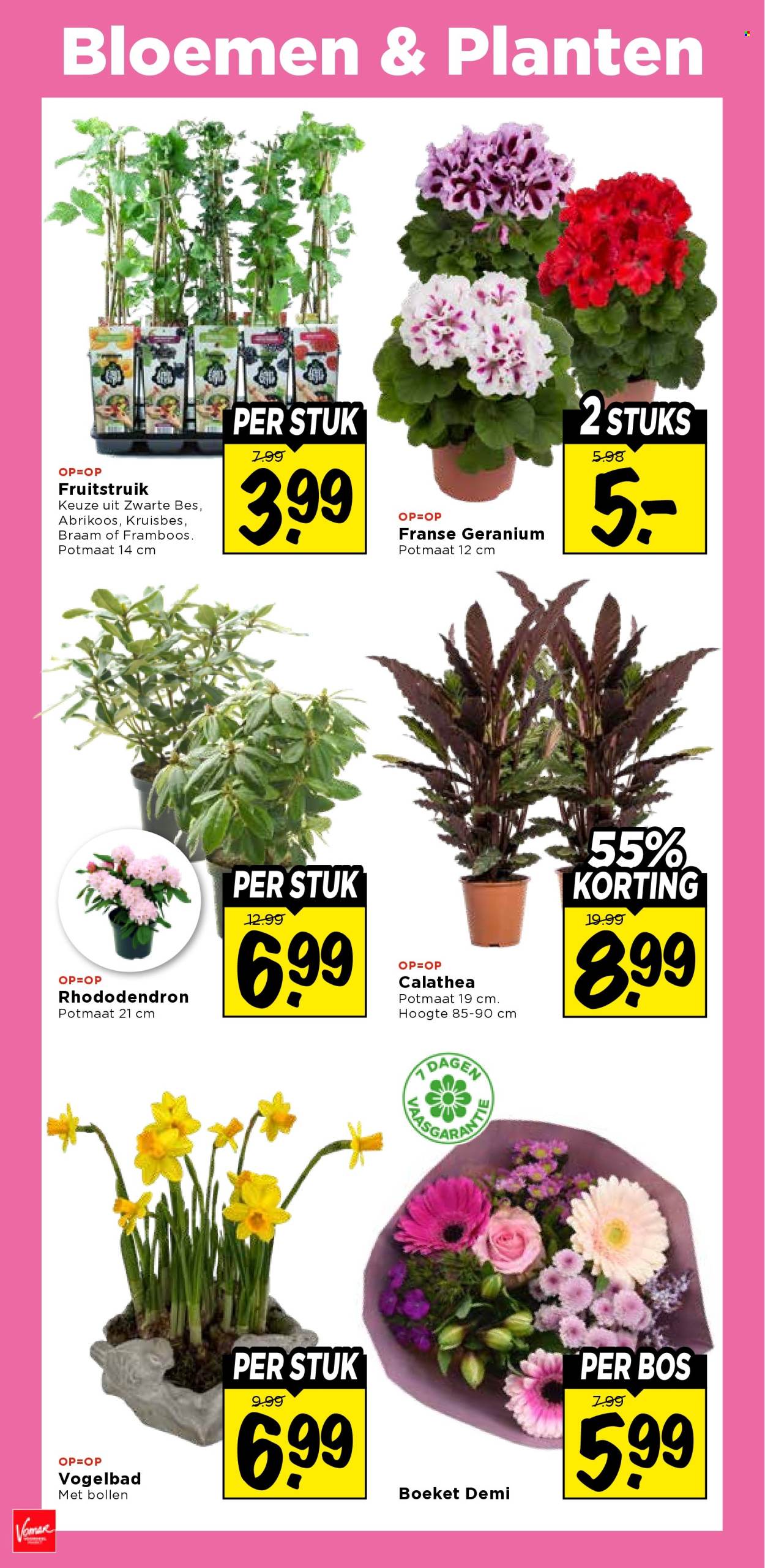 Vomar-aanbieding - 5-3-2026 - 7-3-2026. Pagina 38