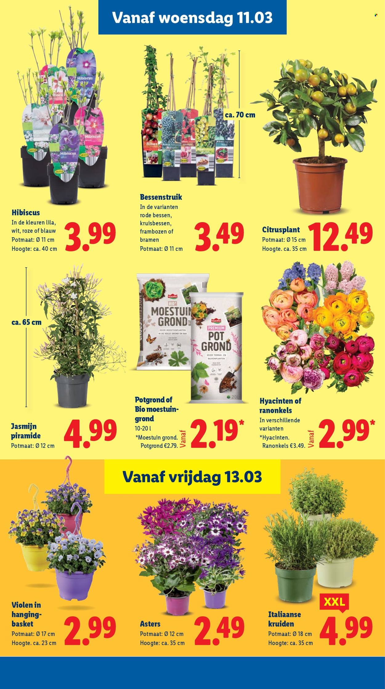 Lidl-aanbieding - 9-3-2026 - 15-3-2026. Pagina 18