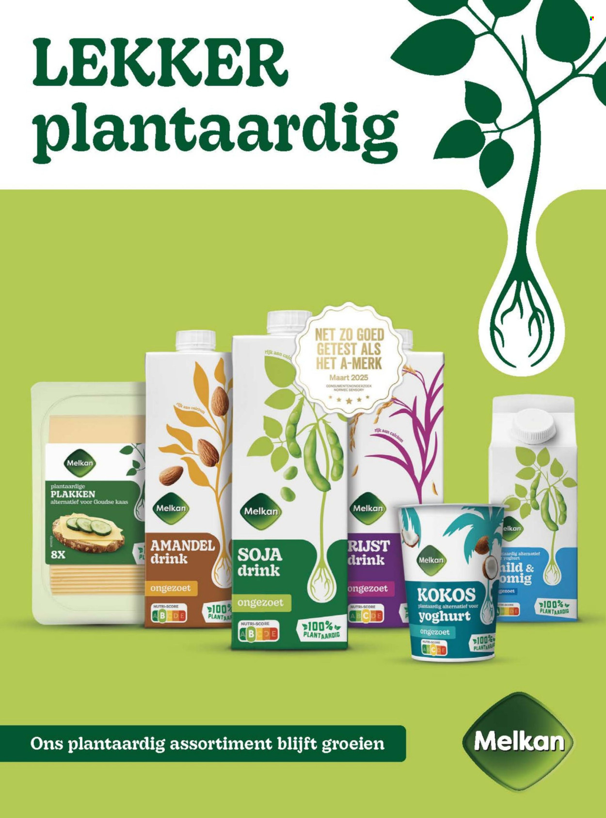 Boni-aanbieding - 1-3-2026 - 31-3-2026. Pagina 13