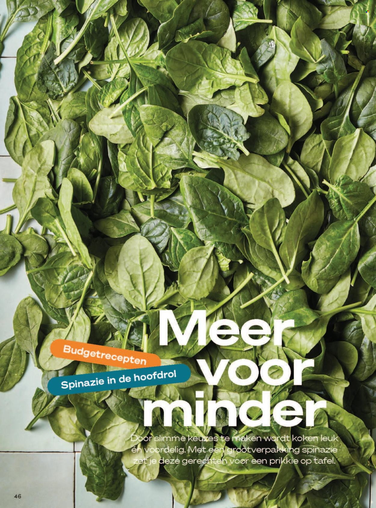 Boni-aanbieding - 1-3-2026 - 31-3-2026. Pagina 46