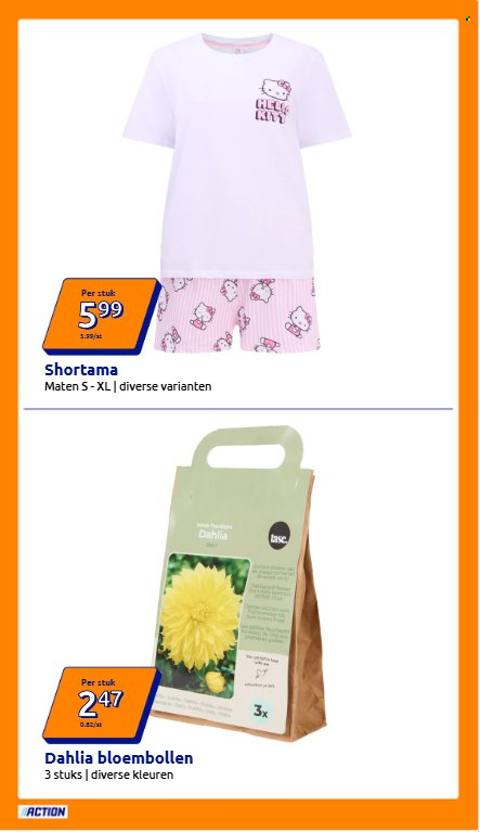 Action-aanbieding - 11-3-2026 - 17-3-2026. Pagina 33