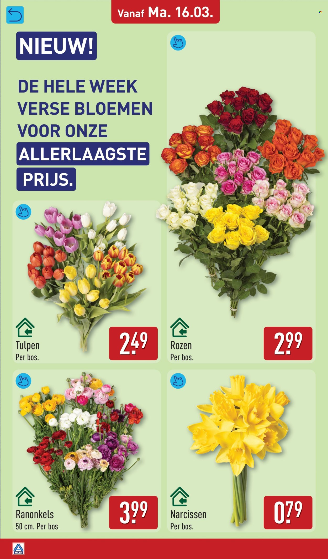 Aldi-aanbieding - 16-3-2026 - 22-3-2026. Pagina 38