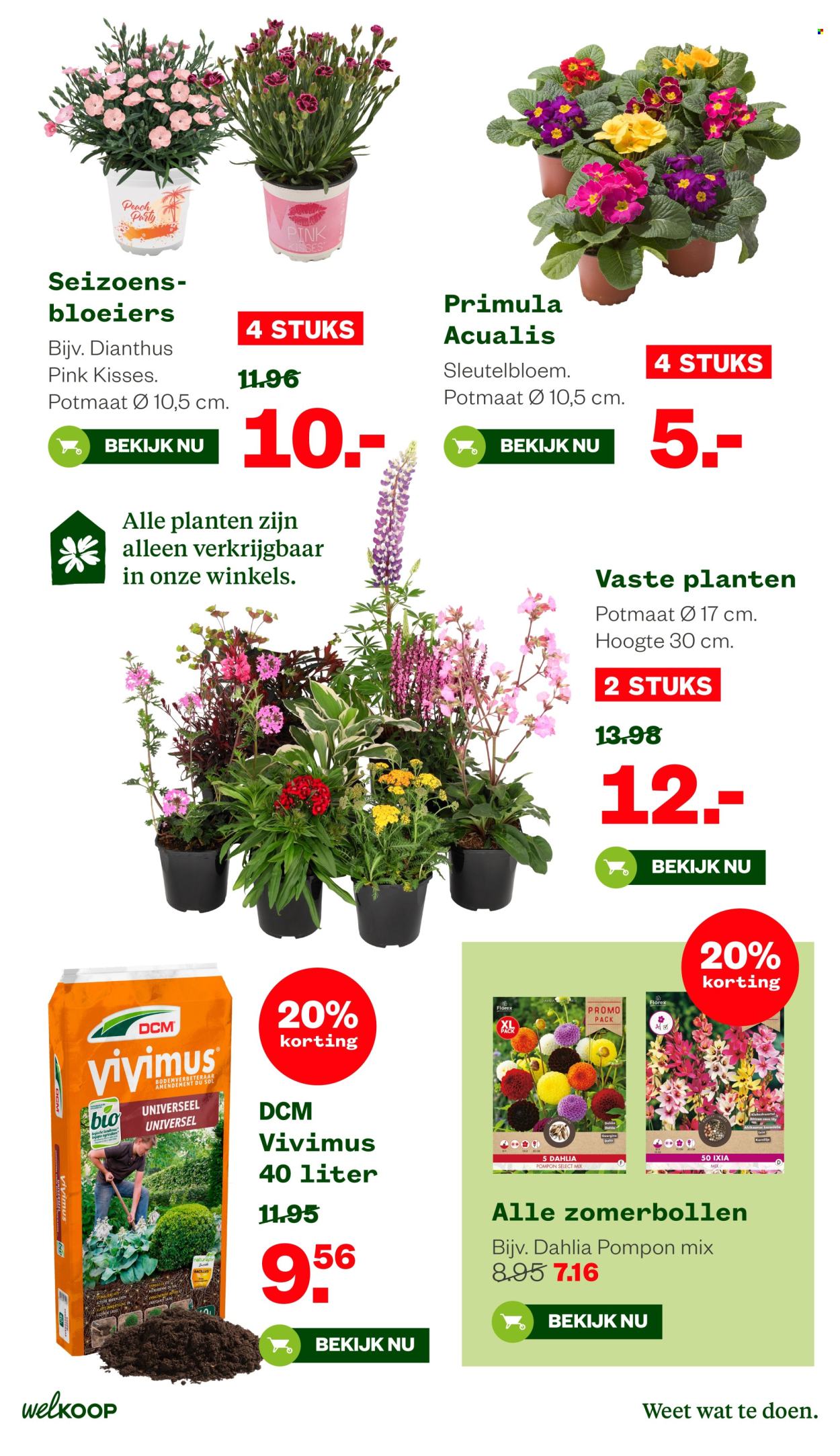 Welkoop-aanbieding - 2-3-2026 - 15-3-2026. Pagina 13