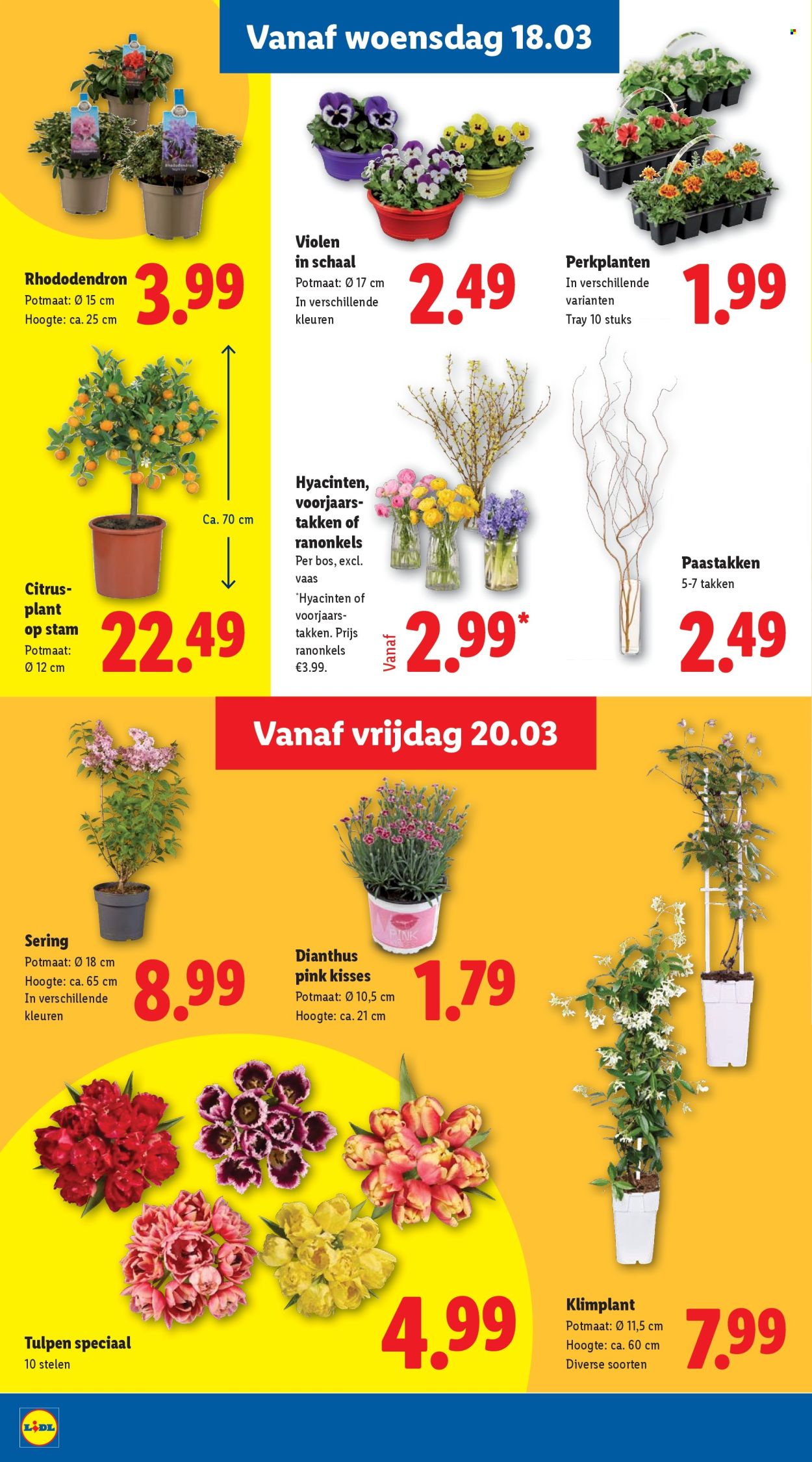 Lidl-aanbieding - 16-3-2026 - 22-3-2026. Pagina 18