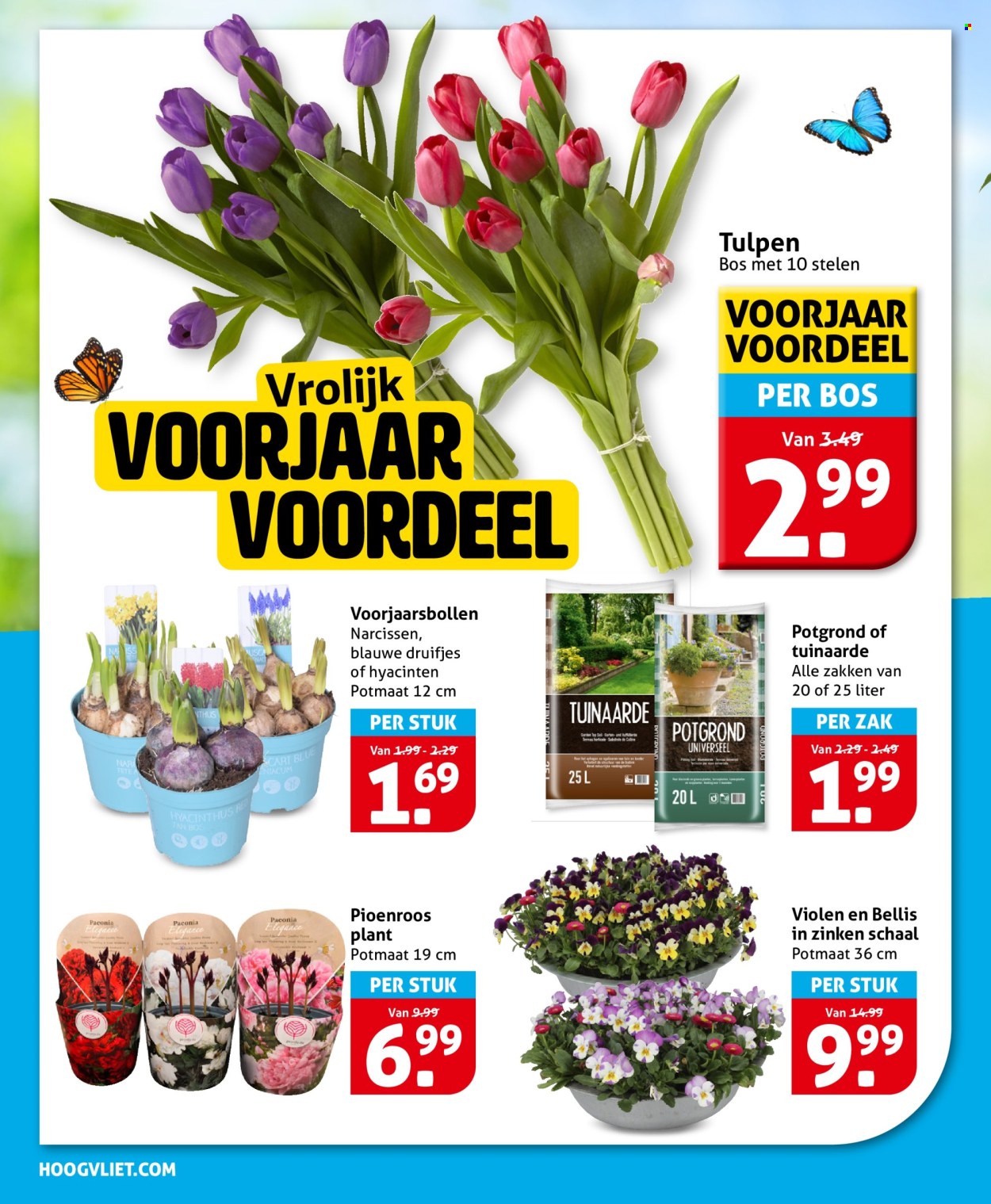 Hoogvliet-aanbieding - 18-3-2026 - 24-3-2026. Pagina 24