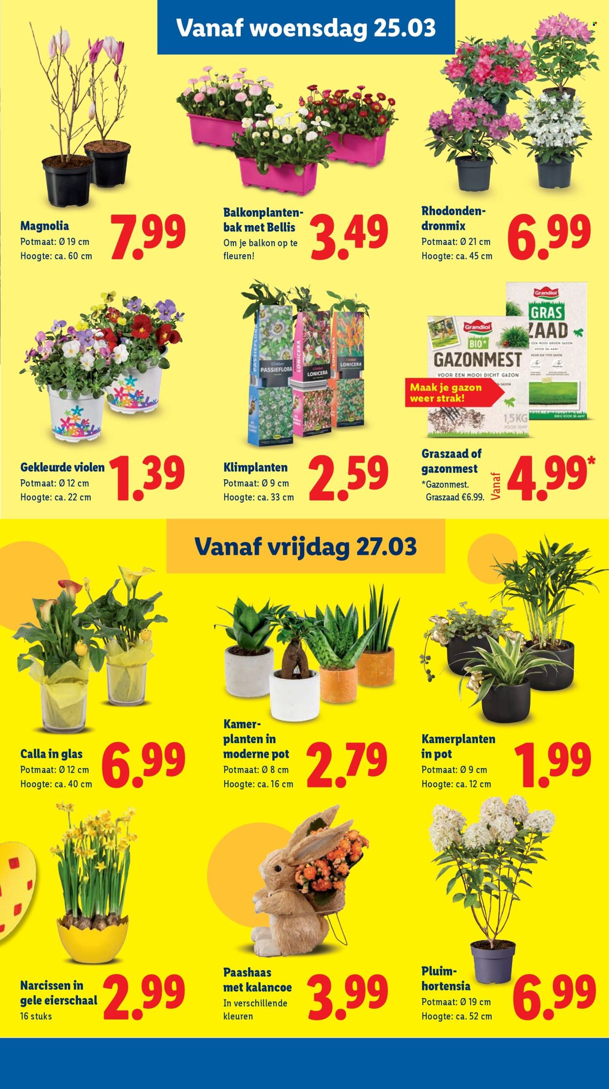 Lidl-aanbieding - 23-3-2026 - 29-3-2026. Pagina 38