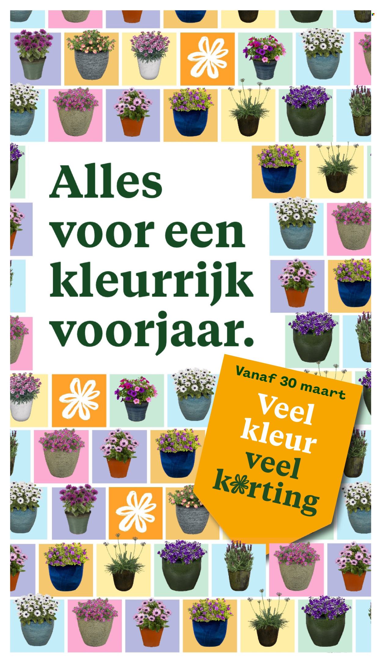 Welkoop-aanbieding - 16-3-2026 - 29-3-2026. Pagina 36