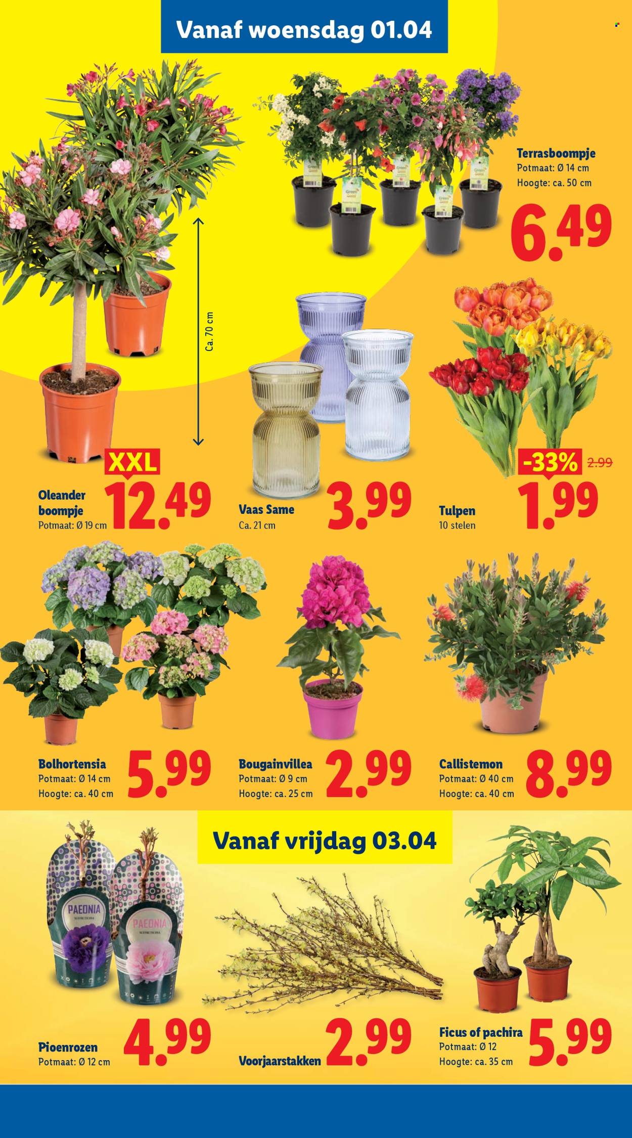 Lidl-aanbieding - 30-3-2026 - 6-4-2026. Pagina 40
