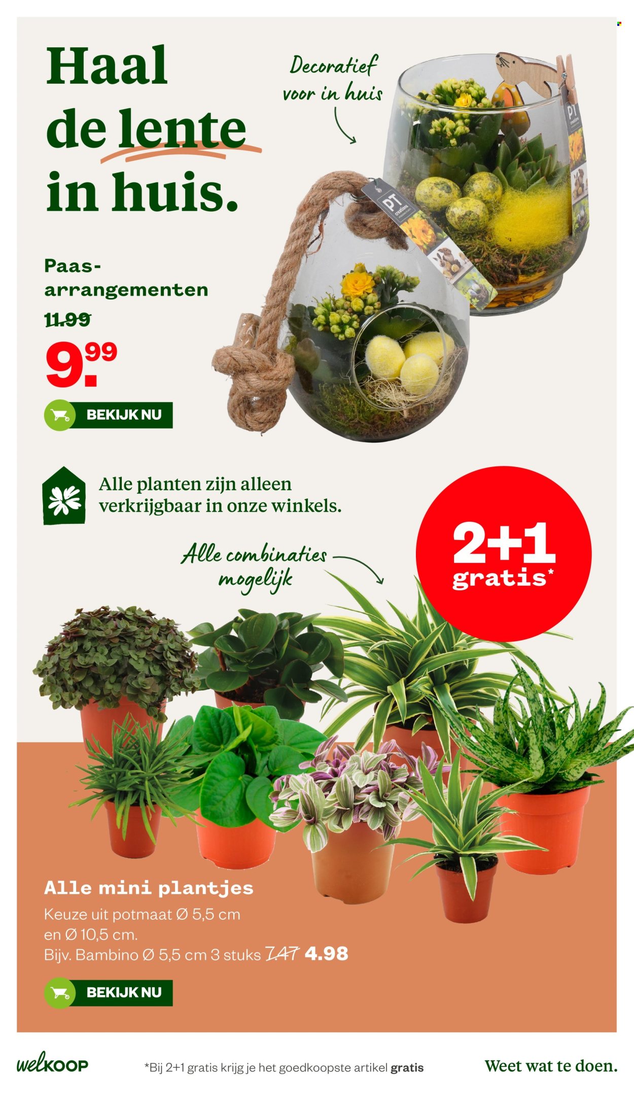 Welkoop-aanbieding - 30-3-2026 - 12-4-2026. Pagina 9