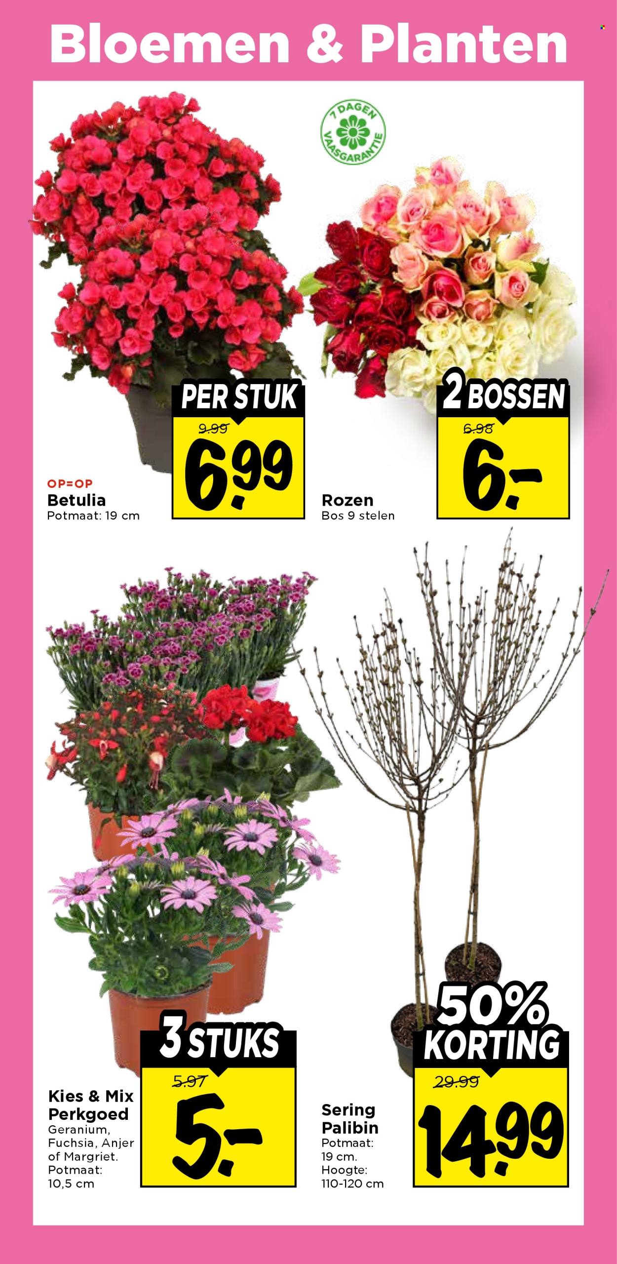 Vomar-aanbieding - 5-4-2026 - 11-4-2026. Pagina 29