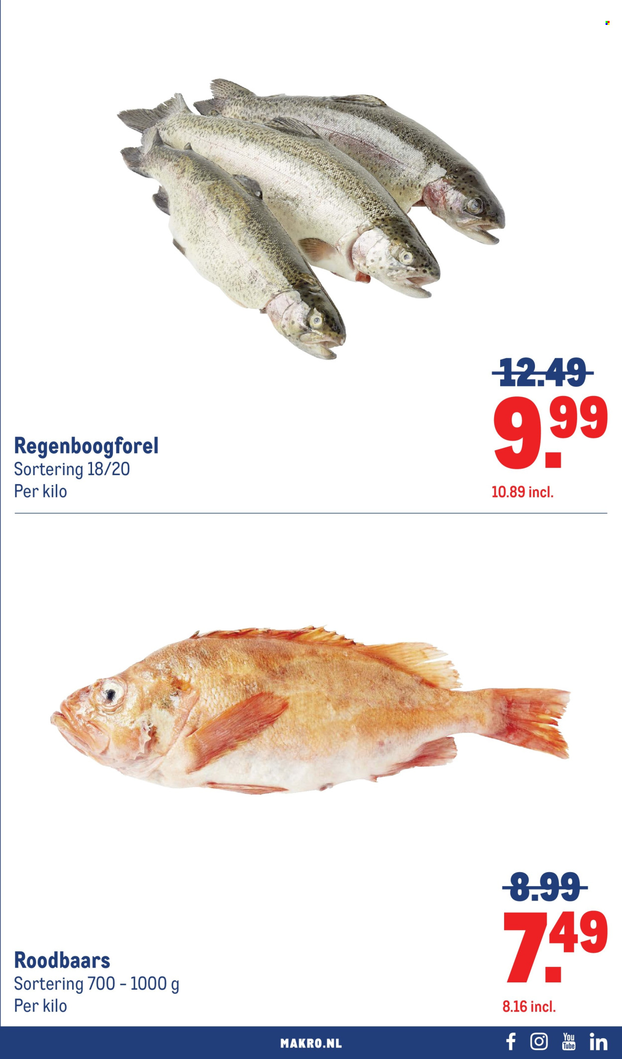 Makro-aanbieding - 8-4-2026 - 21-4-2026. Pagina 19