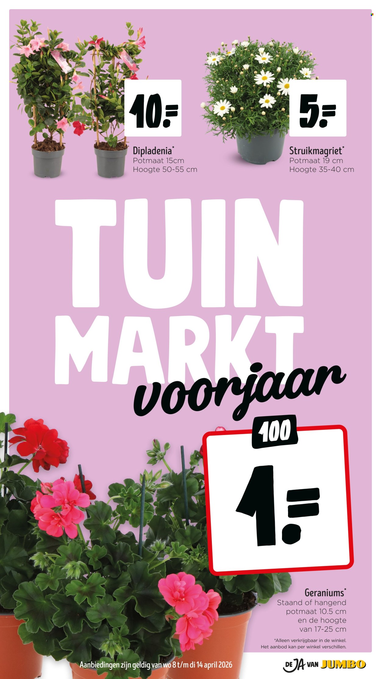 Jumbo-aanbieding - 8-4-2026 - 14-4-2026. Pagina 36