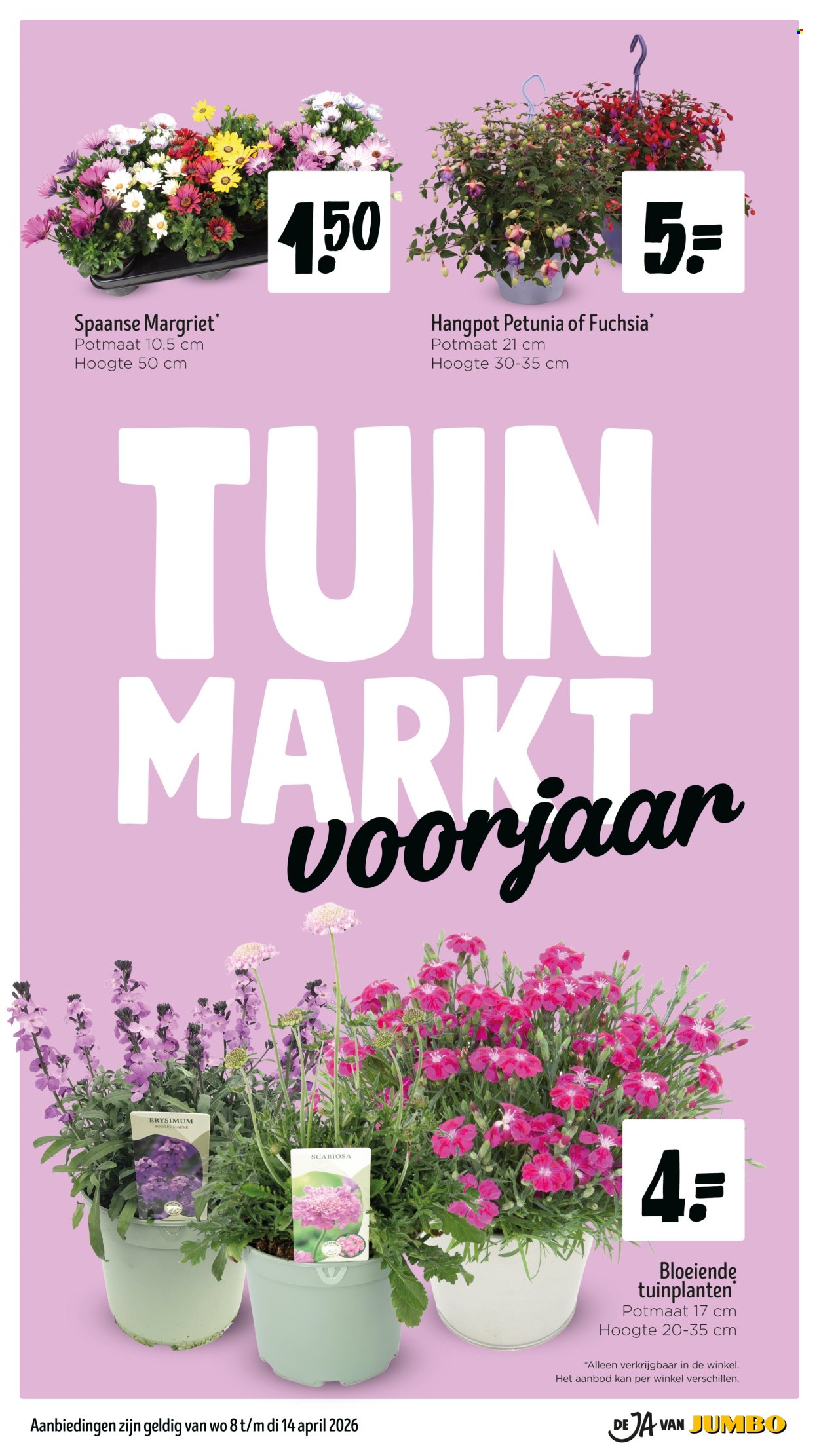 Jumbo-aanbieding - 8-4-2026 - 14-4-2026. Pagina 37