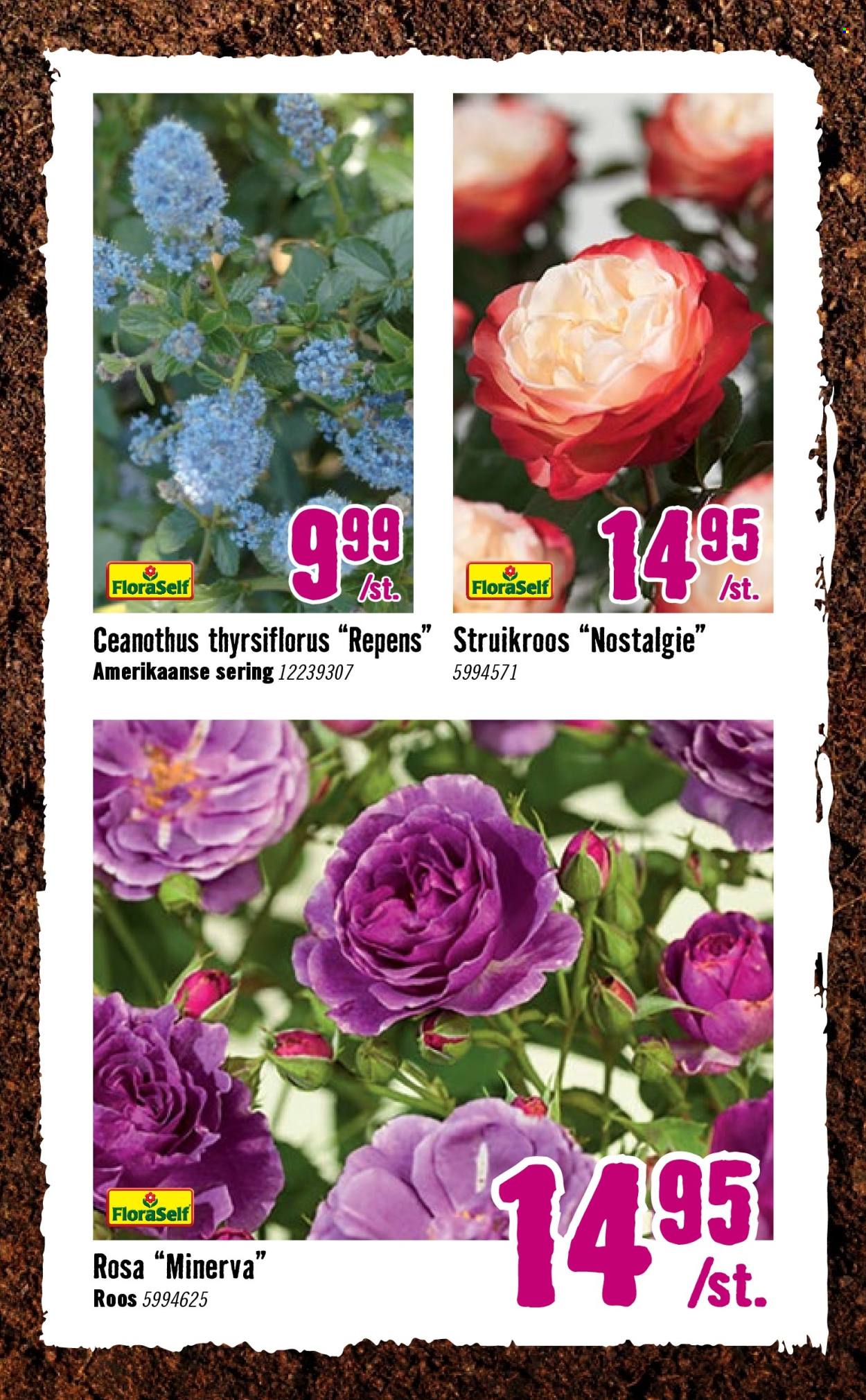 Hornbach-aanbieding - 7-4-2026 - 3-5-2026. Pagina 3