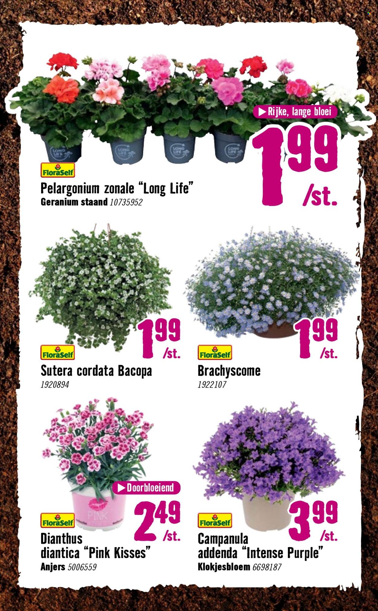 Hornbach-aanbieding - 7-4-2026 - 3-5-2026. Pagina 13