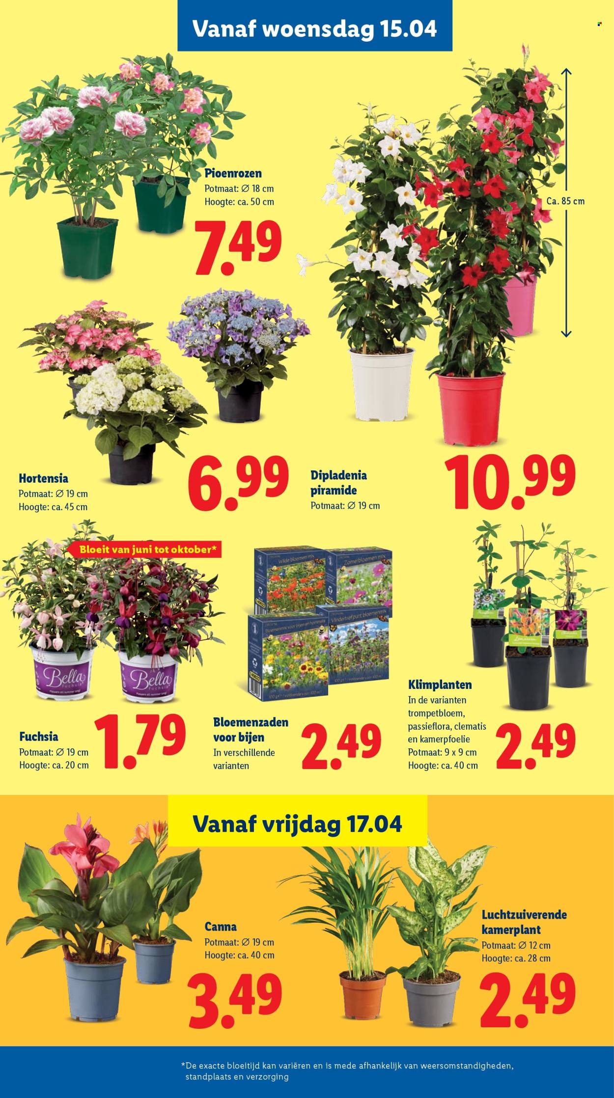 Lidl-aanbieding - 13-4-2026 - 19-4-2026. Pagina 24