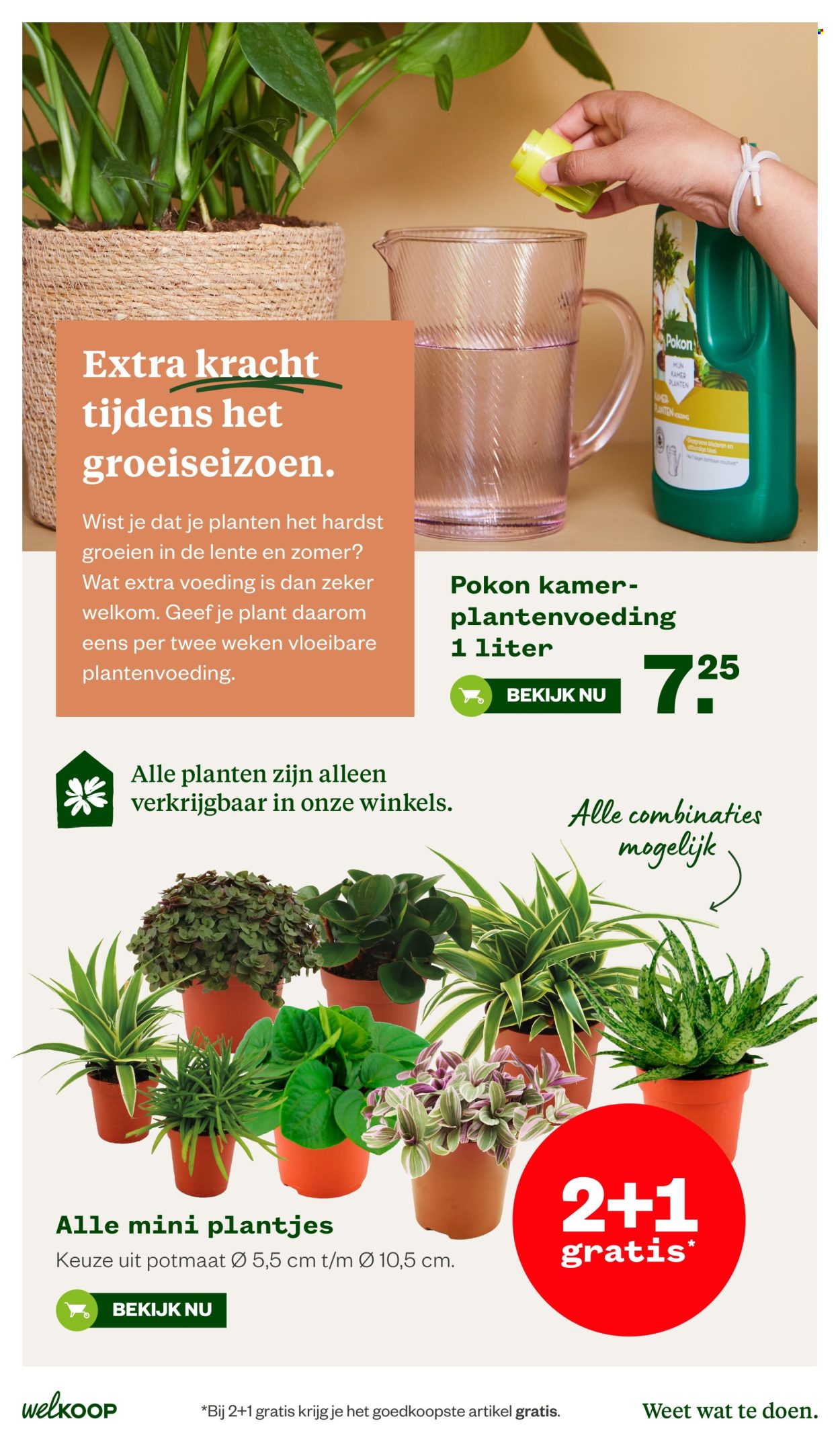 Welkoop-aanbieding - 13-4-2026 - 26-4-2026. Pagina 9
