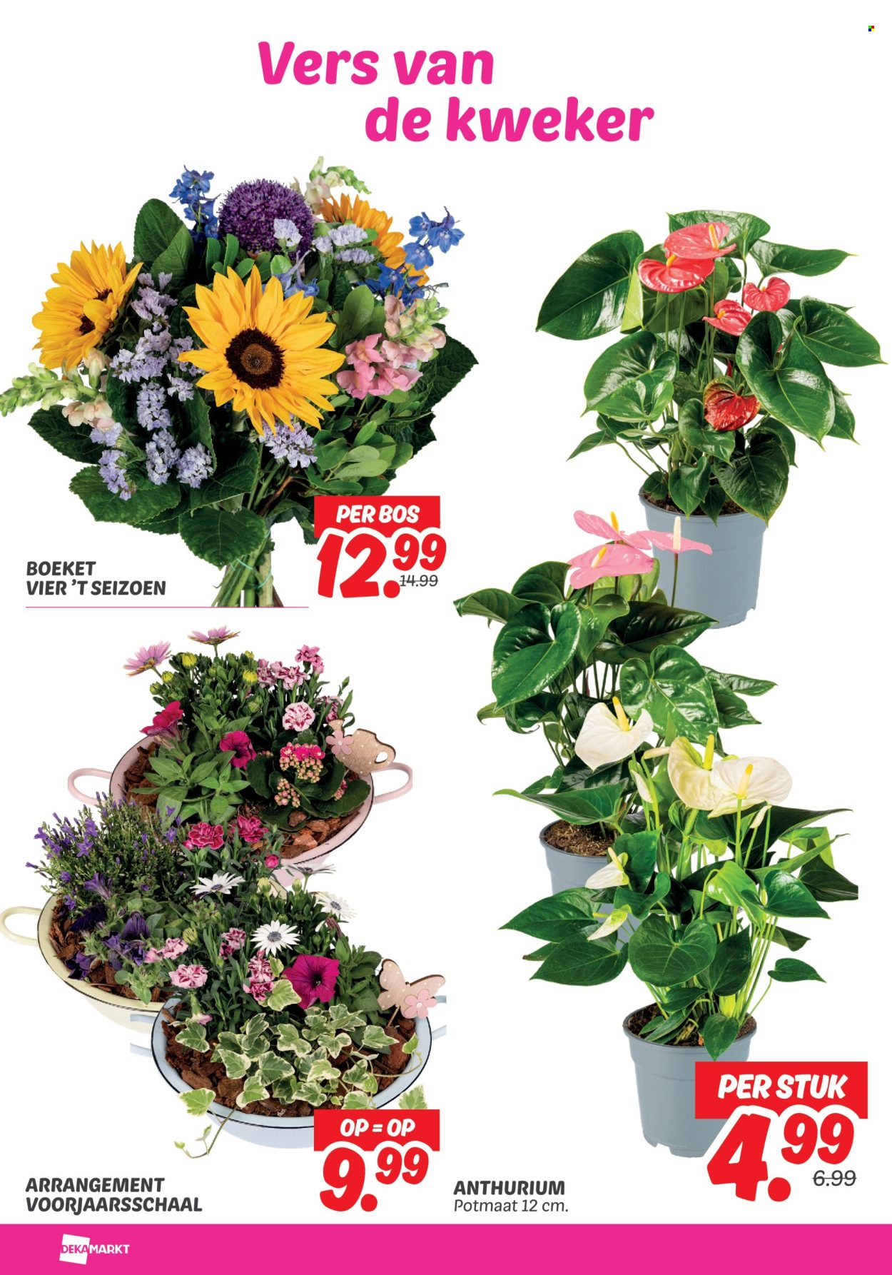 DekaMarkt-aanbieding - 14-4-2026 - 20-4-2026. Pagina 26