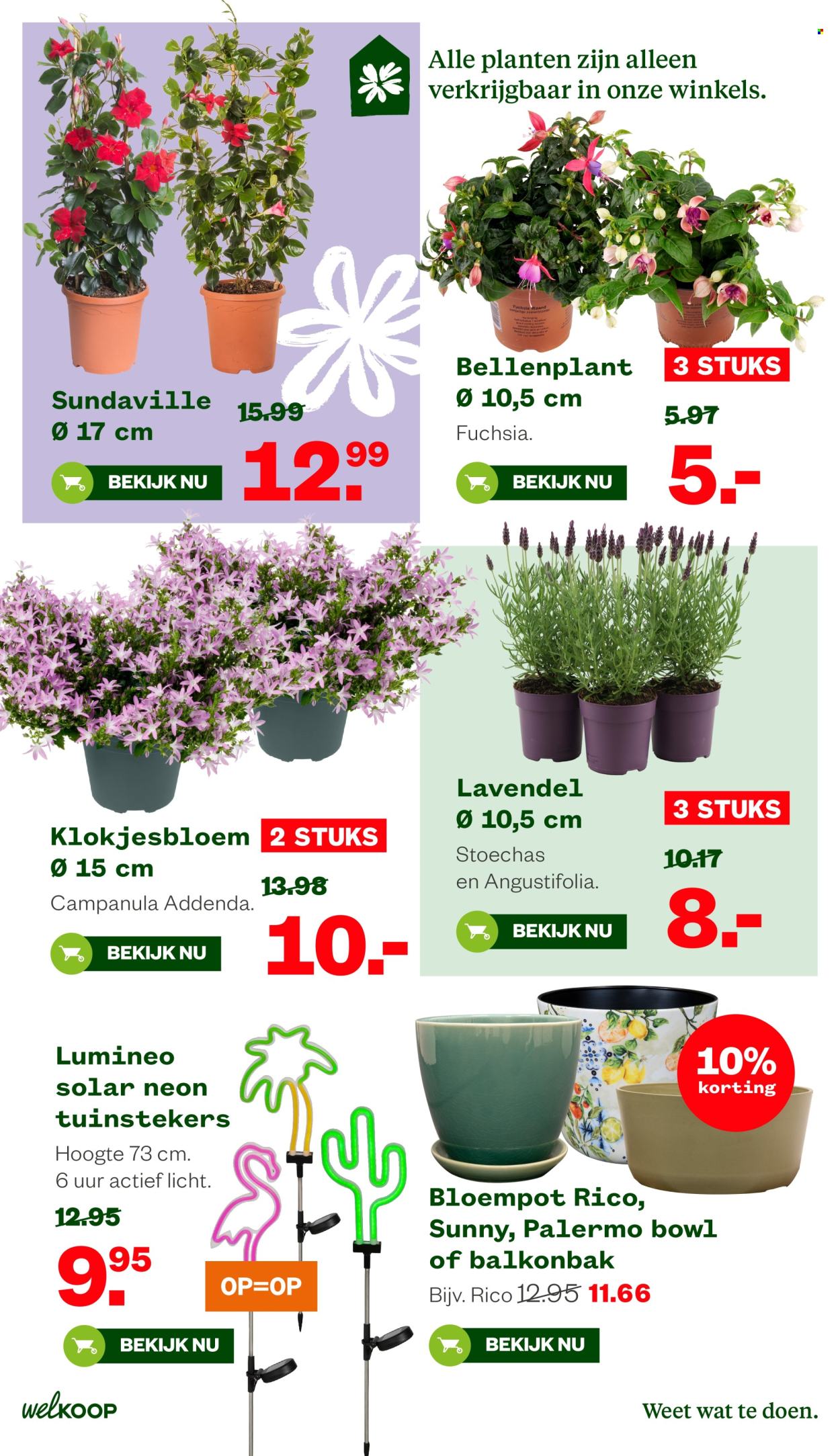 Welkoop-aanbieding - 13-4-2026 - 26-4-2026. Pagina 17