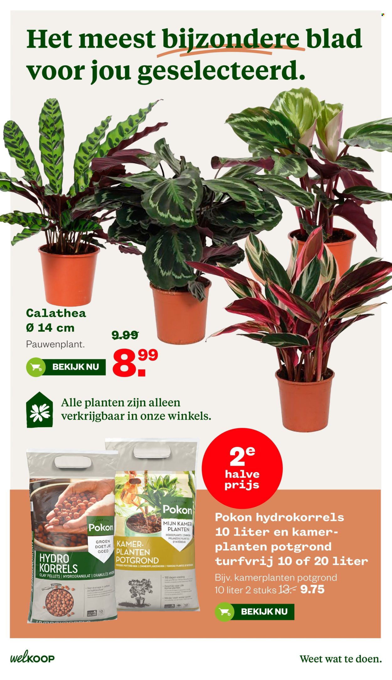 Welkoop-aanbieding - 13-4-2026 - 26-4-2026. Pagina 22