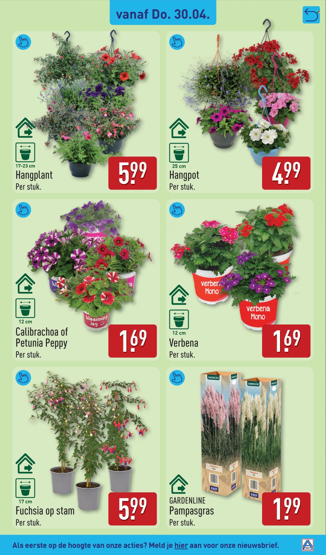Aldi-aanbieding - 27-4-2026 - 3-5-2026. Pagina 39